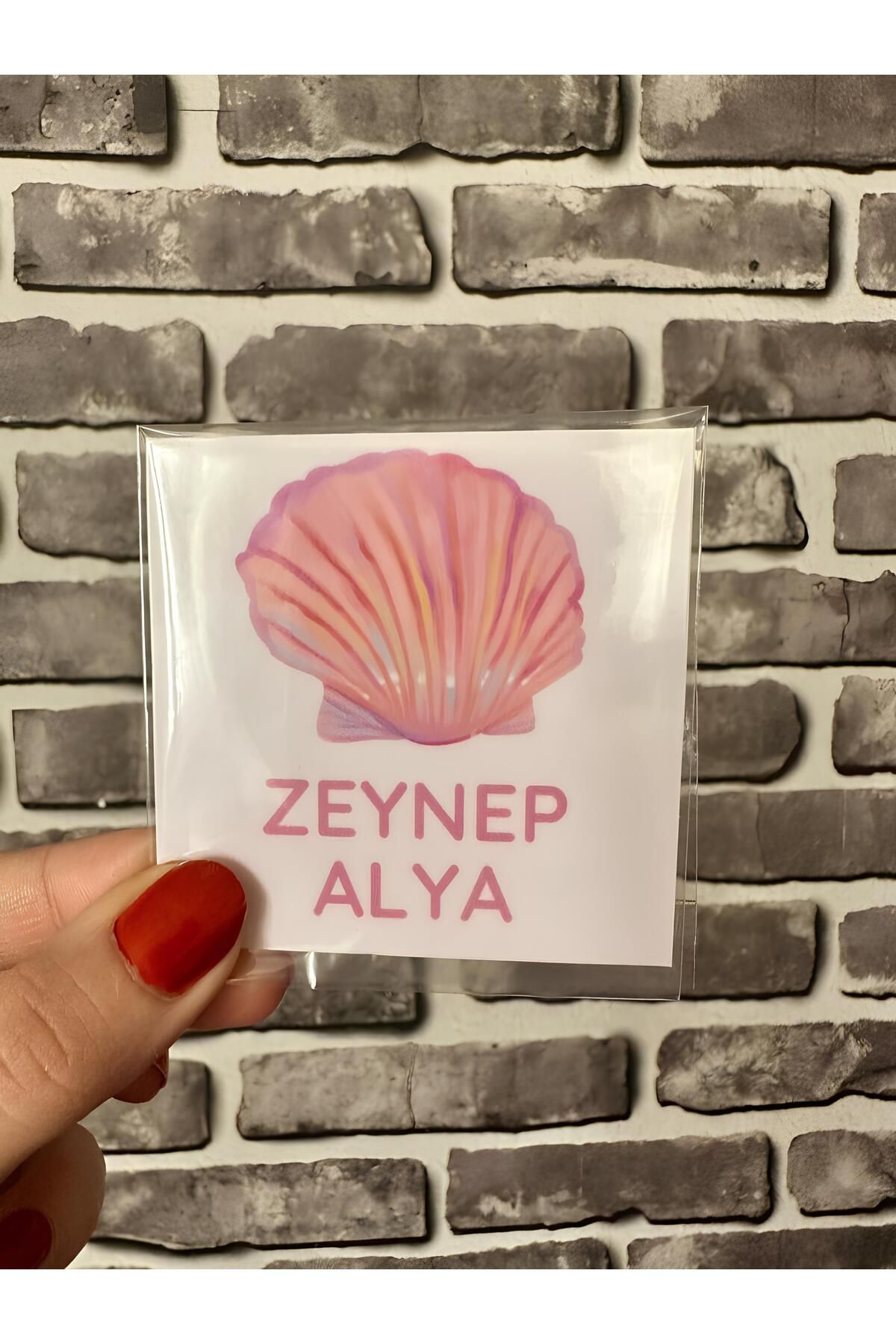 Renkia Studio Kişiye Özel 12’li Deniz Kabuğu Tasarımlı Magnet Seti – Bebek Doğum Hediyeliği