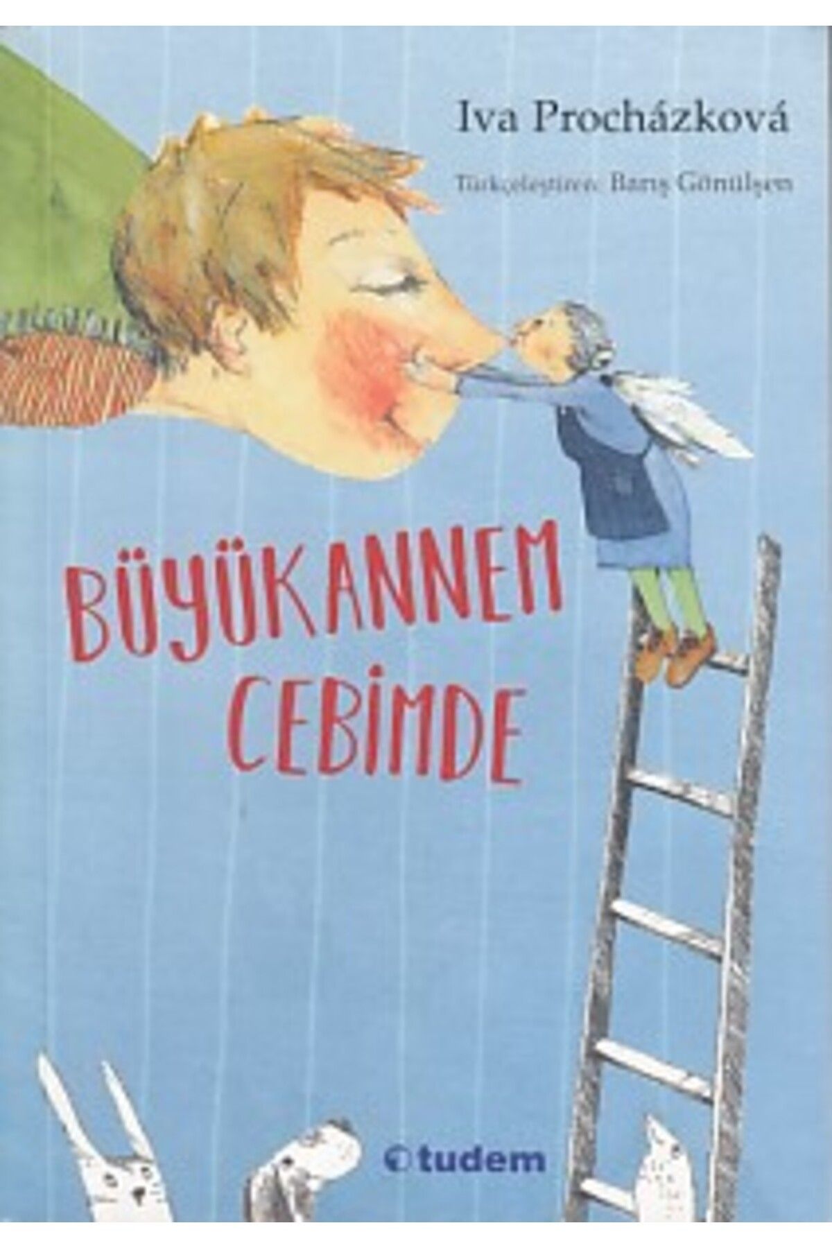Destek Yayınları Büyükannem Cebimde