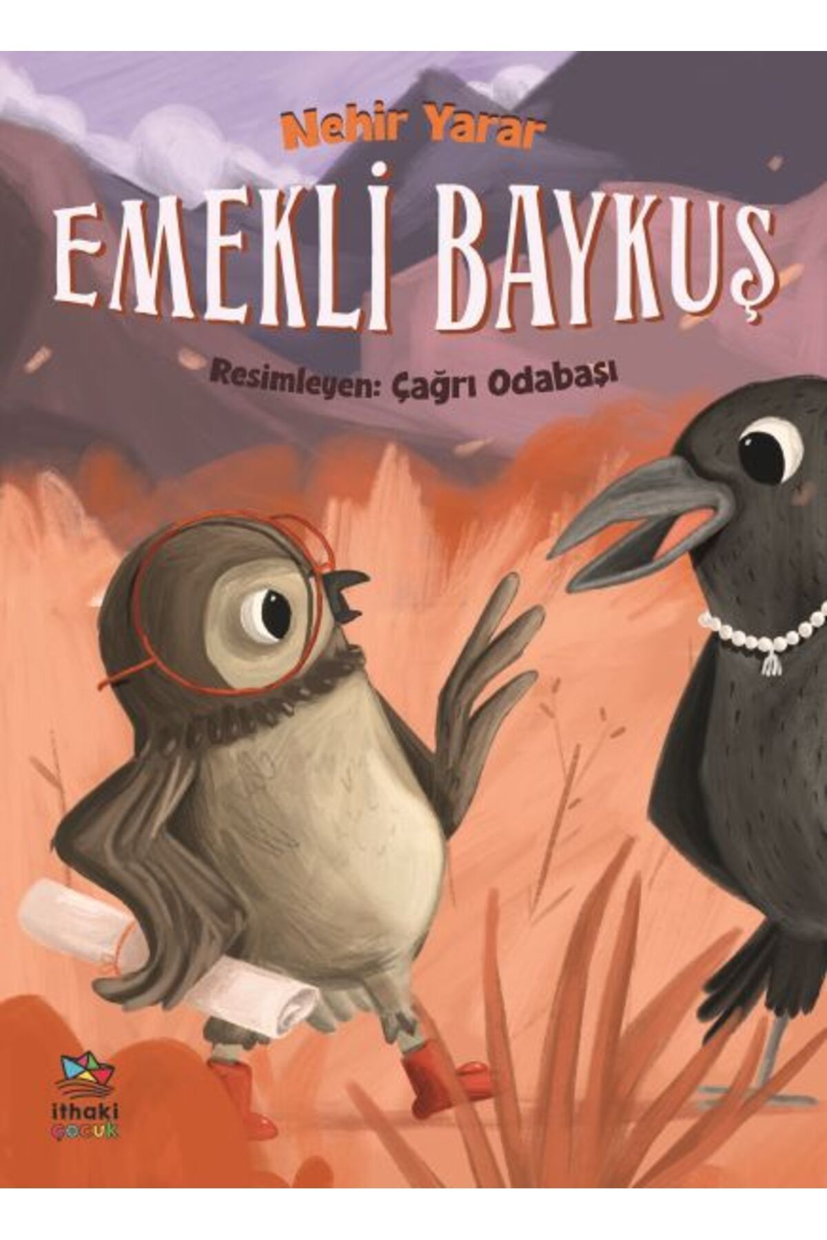 Destek Yayınları Emekli Baykuş