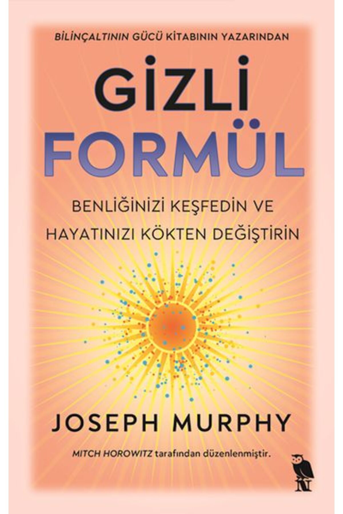 Destek Yayınları Gizli Formül