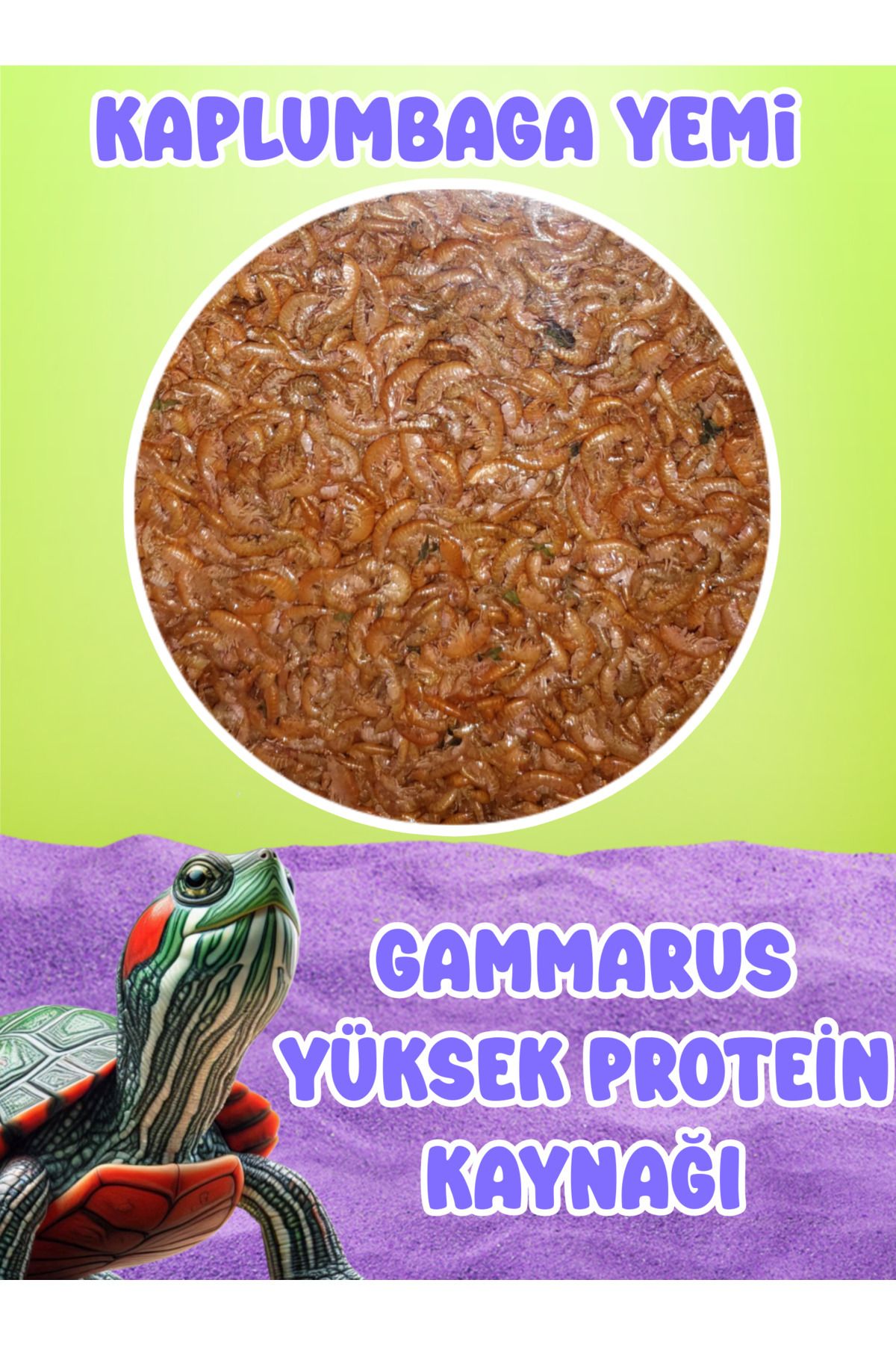 MDİZMİR Kaplumbağa Yemi Gammarus ( Kurutulmuş Karides ) Sürüngen, Hamster, Beta, Balık Türleri için Yem