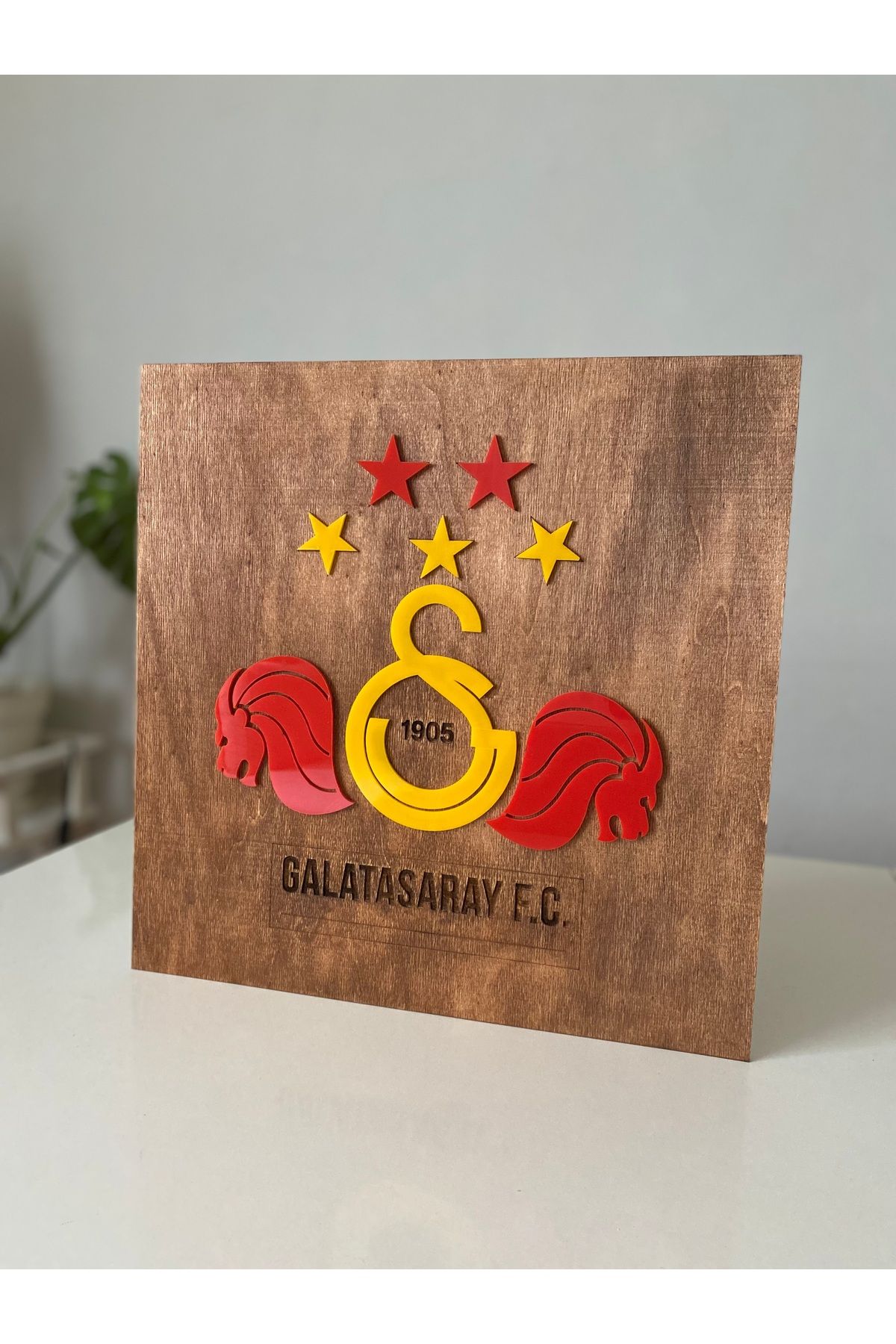 HAYALHANE AHŞAP GS 5 Yıldızlı Ahşap Duvar Dekor Ürünü
