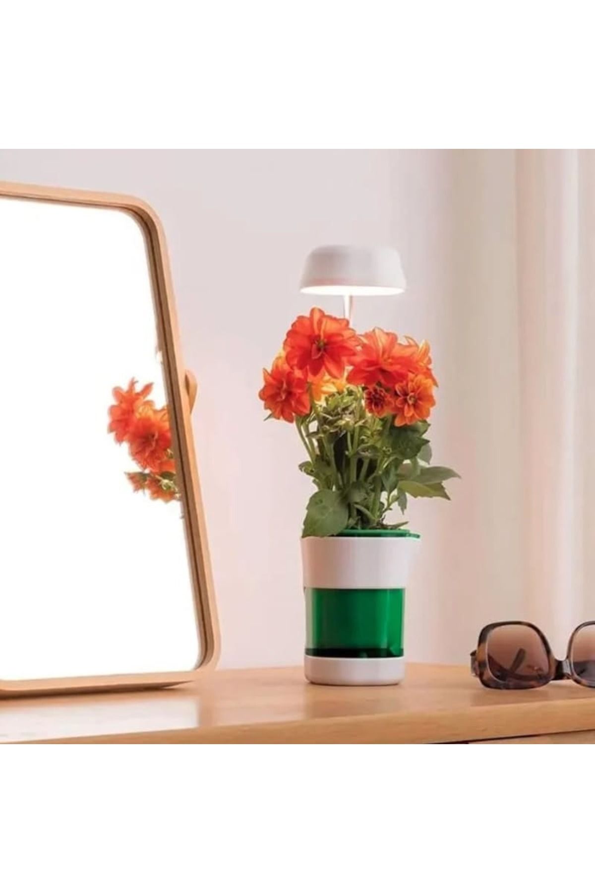 Shopyzone Hızlı Bitki Yetiştirme Saksısı