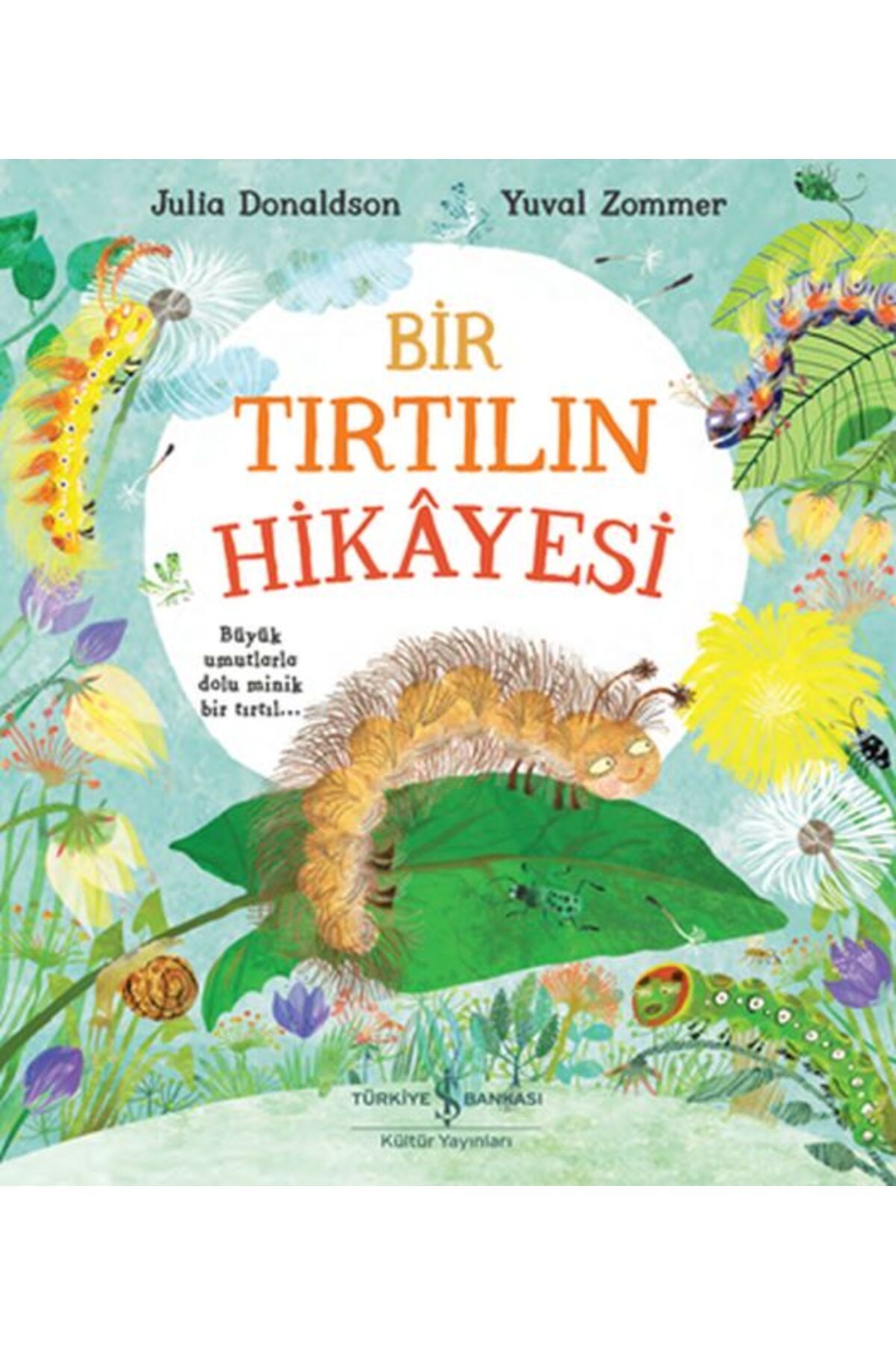 Destek Yayınları Bir Tırtılın Hikayesi