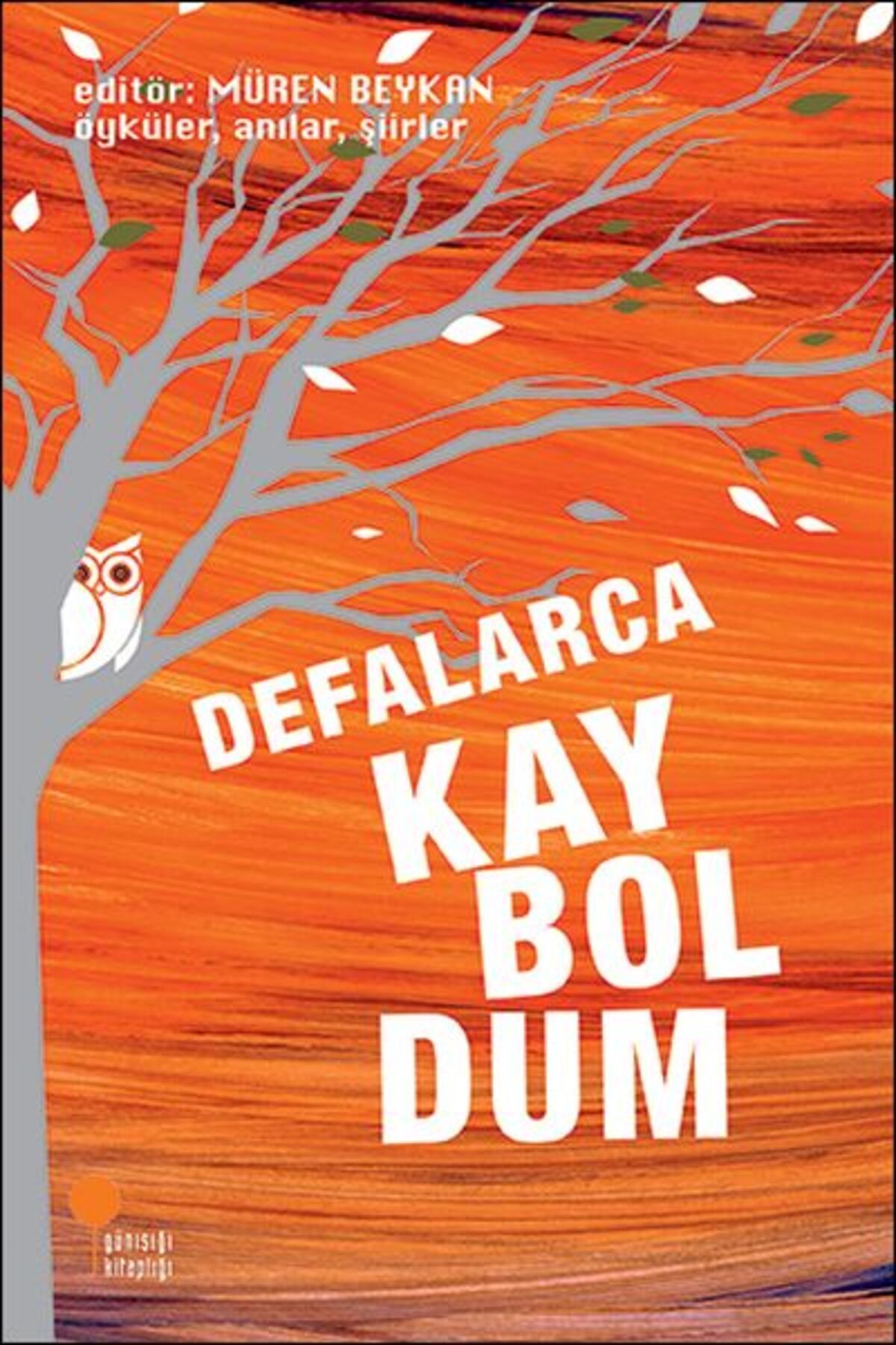 Destek Yayınları Defalarca Kayboldum