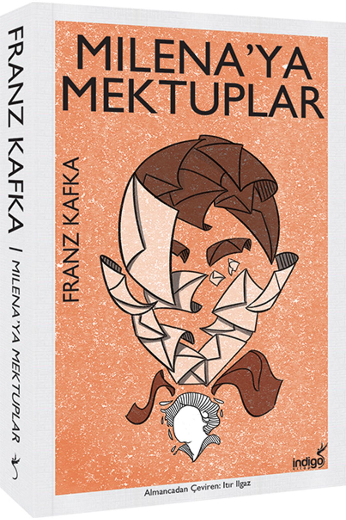 Destek Yayınları Milenaya Mektuplar