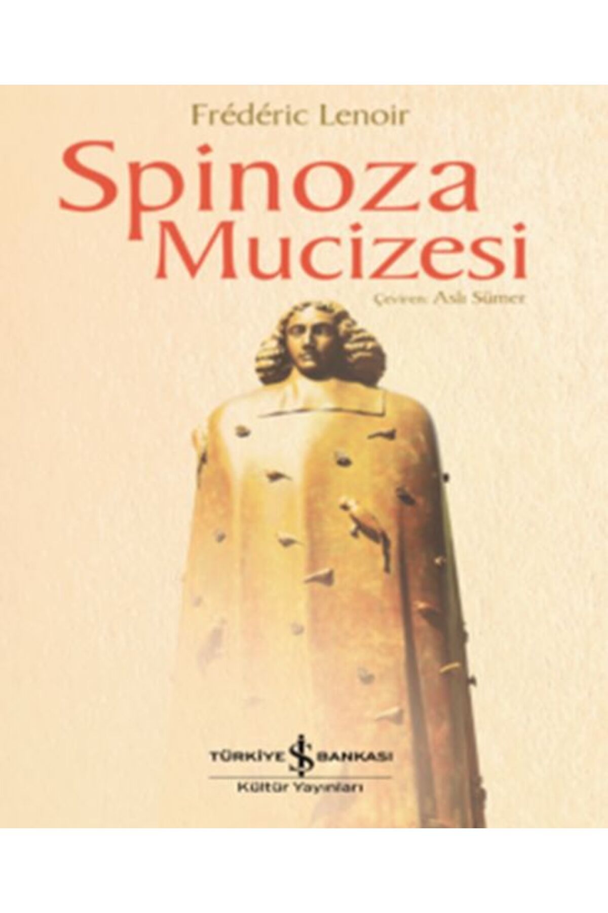 Destek Yayınları Spinoza Mucizesi
