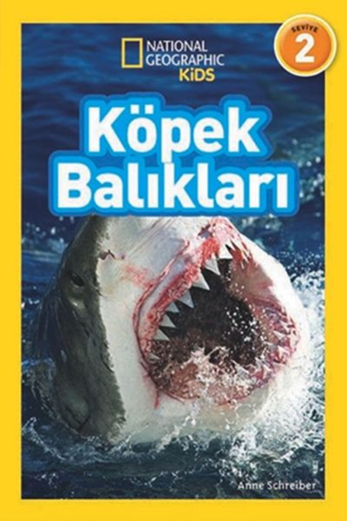 Destek Yayınları Kids Köpek Balıkları