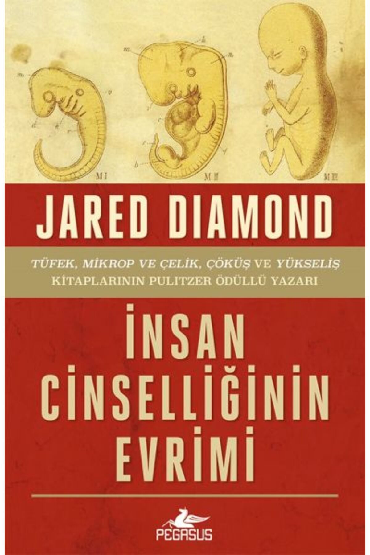 Karatay Yayınları İnsan Cinselliğinin Evrimi Ciltsiz