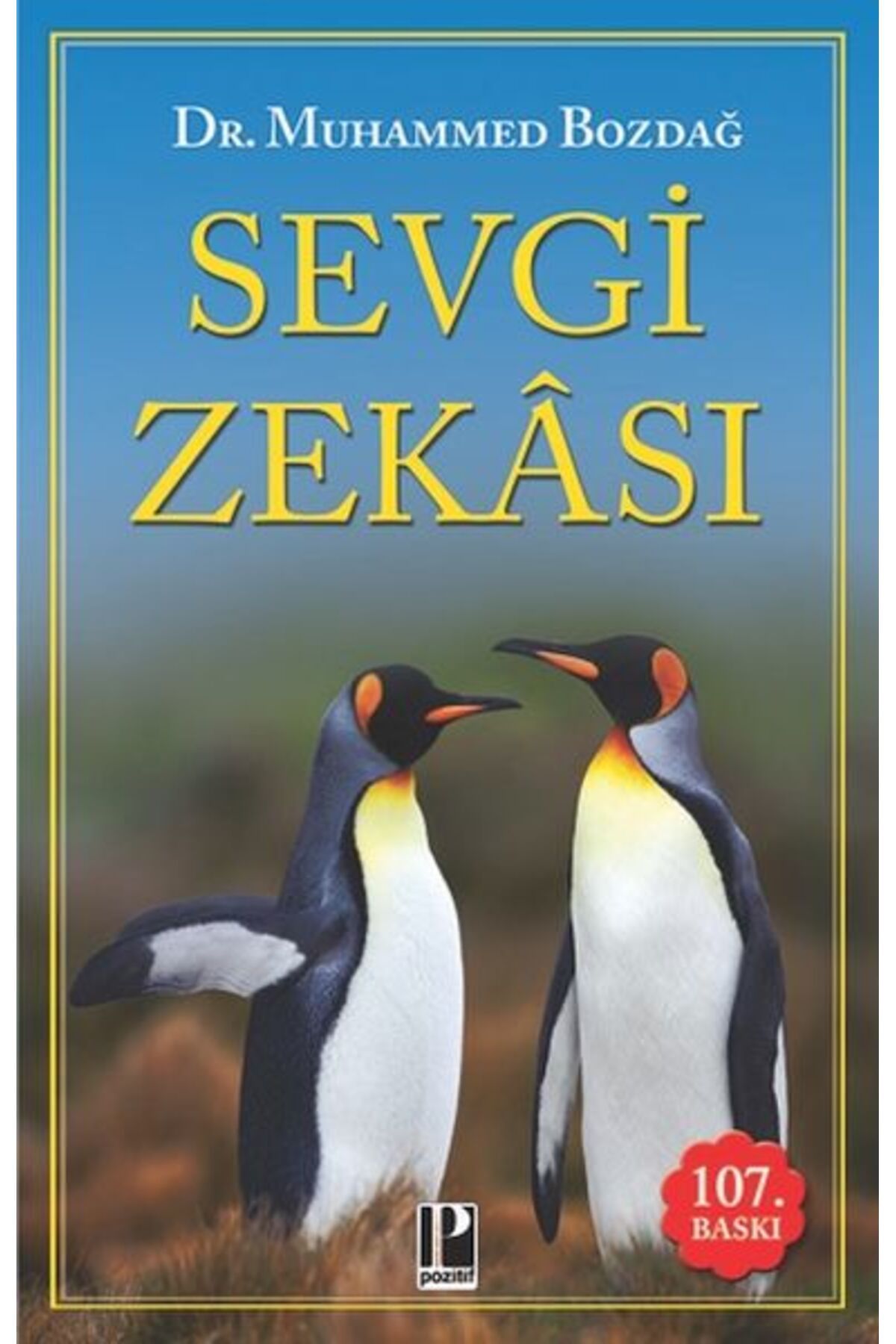 Pozitif Yayınları Sevgi Zeksı