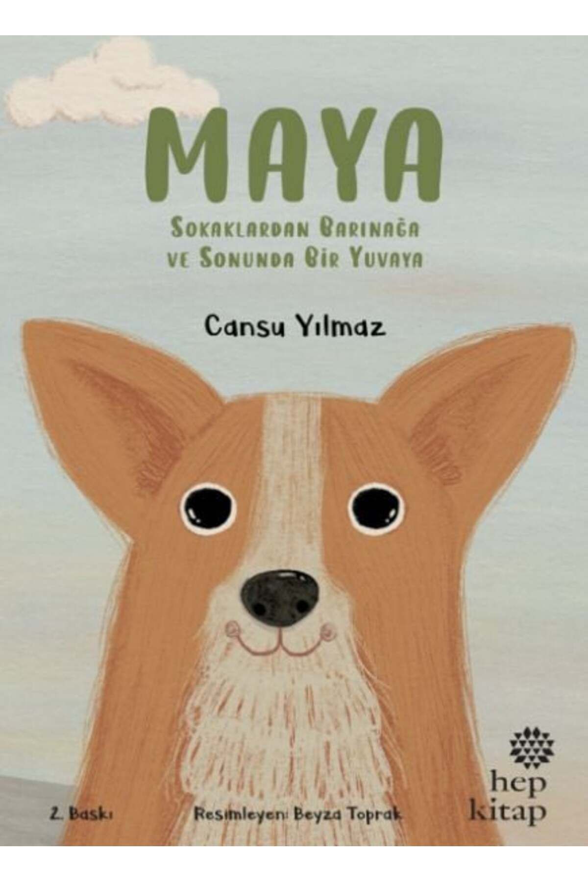 Destek Yayınları Maya Sokaklardan Barınağa ve Sonunda Bir Yuvaya
