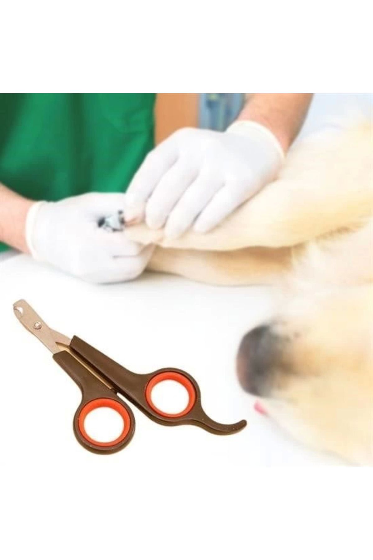 MT29 GİYİM Küçük Çelik Uçlu Kedi Köpek Evcil Hayvan Tırnak Makası Pati Bakım Aleti Ergonomik Kaymaz Sap