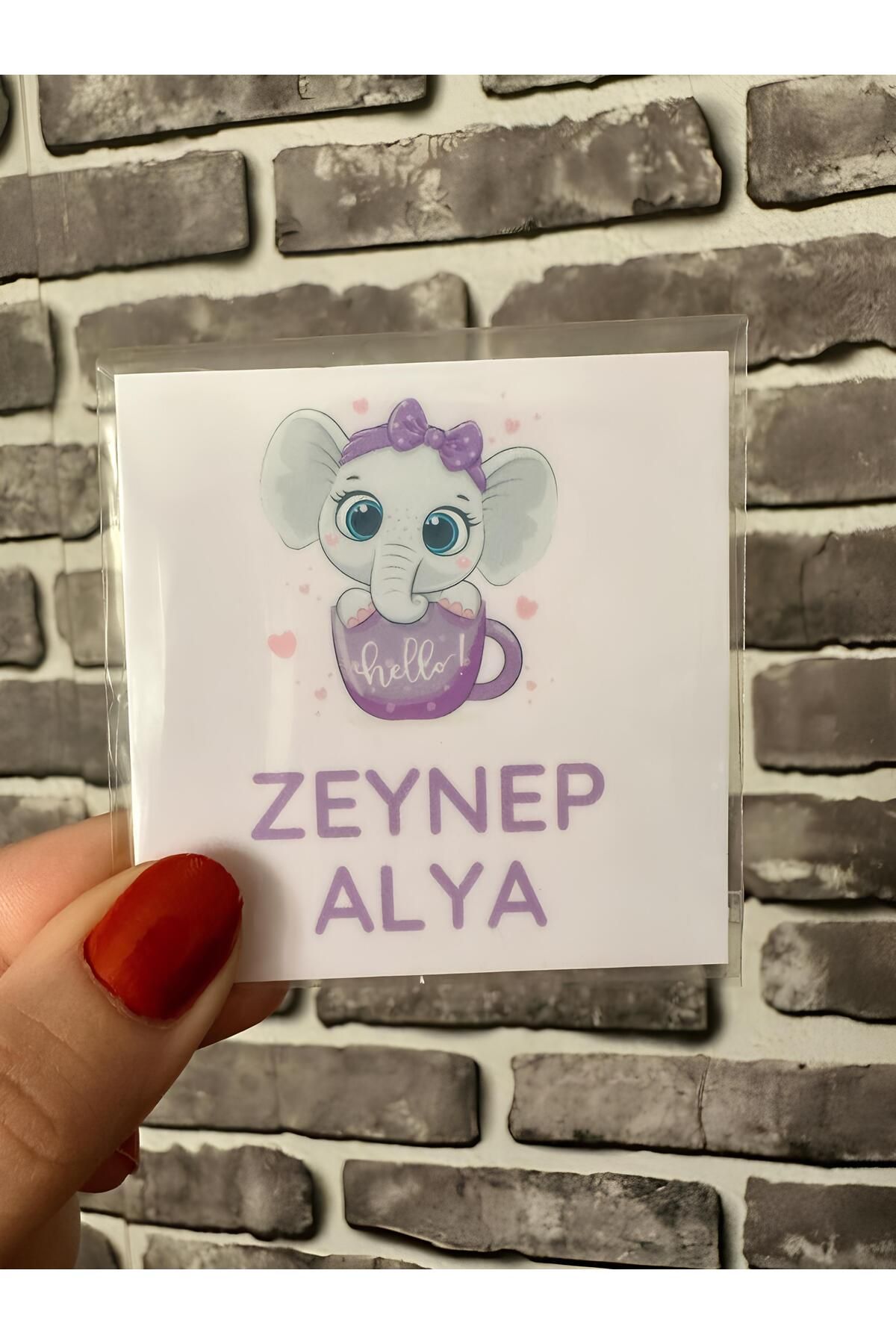Renkia Studio Kişiye Özel 12’li Fil Tasarımlı Magnet Seti – Bebek Doğum Hediyeliği, Baby Shower, Hoşgeldin Bebek