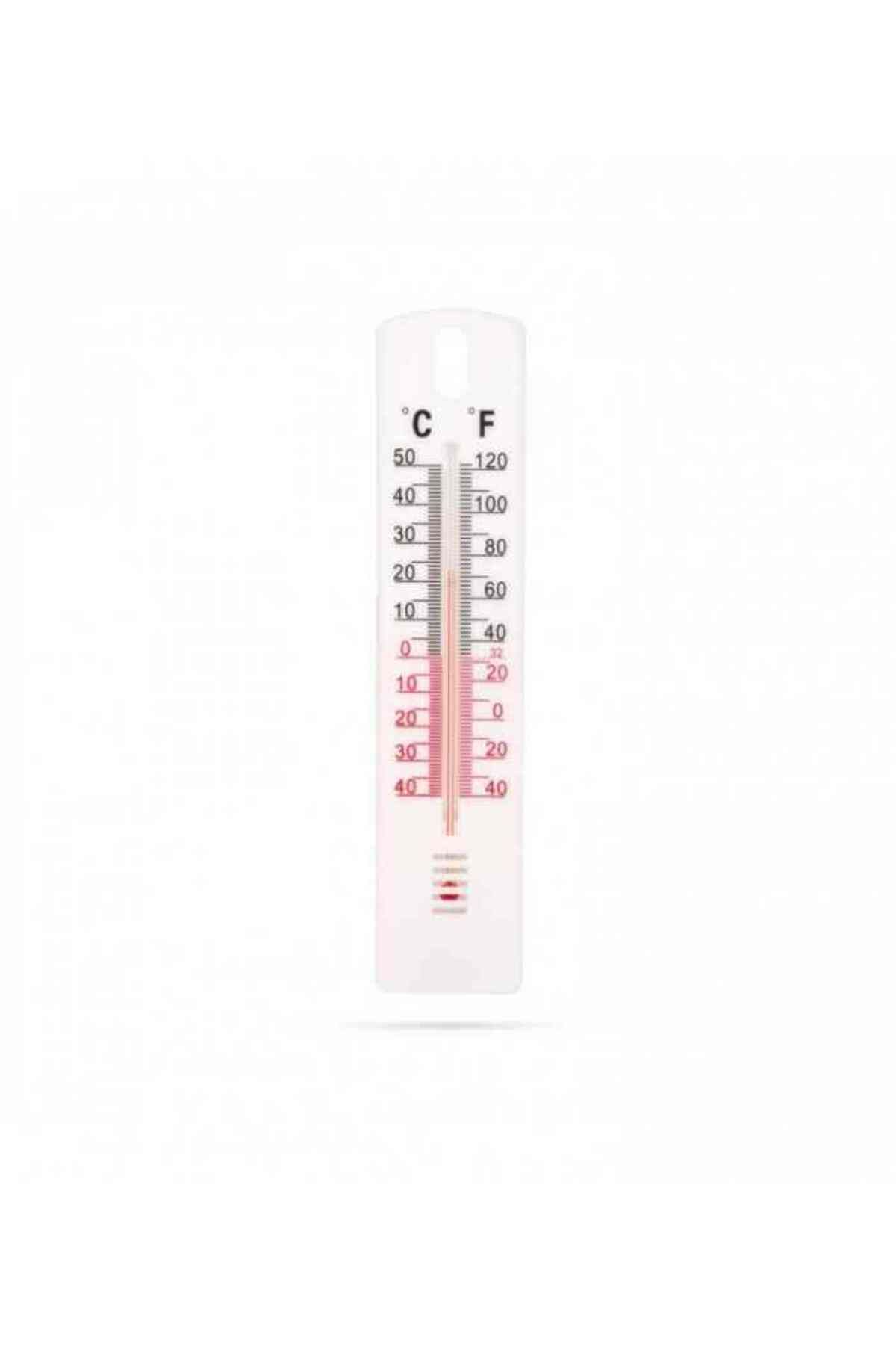 OEM Termometru Clasic Pentru Interior Si Exterior -40 +50 °c - One Size