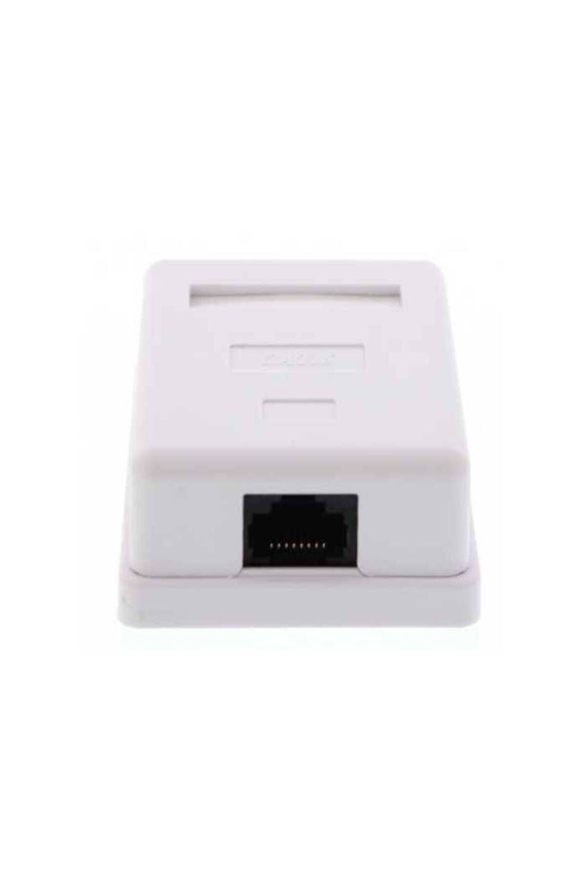 Well Priza Simpla Utp Cat6 Rj45 Neecranat Pe Tencuiala Well - One Size