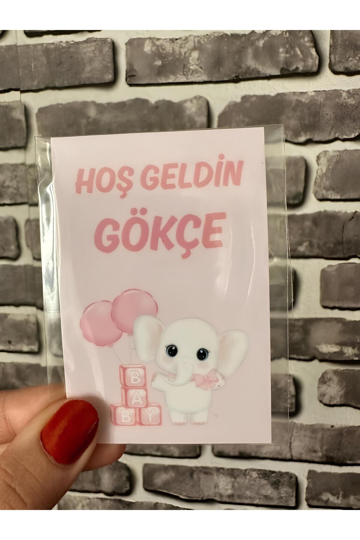 Renkia Studio Hoşgeldin Kız Bebek Sevimli Fil Temalı 18’li Magnet Seti – Pembe Doğum Hediyeliği & Baby Shower