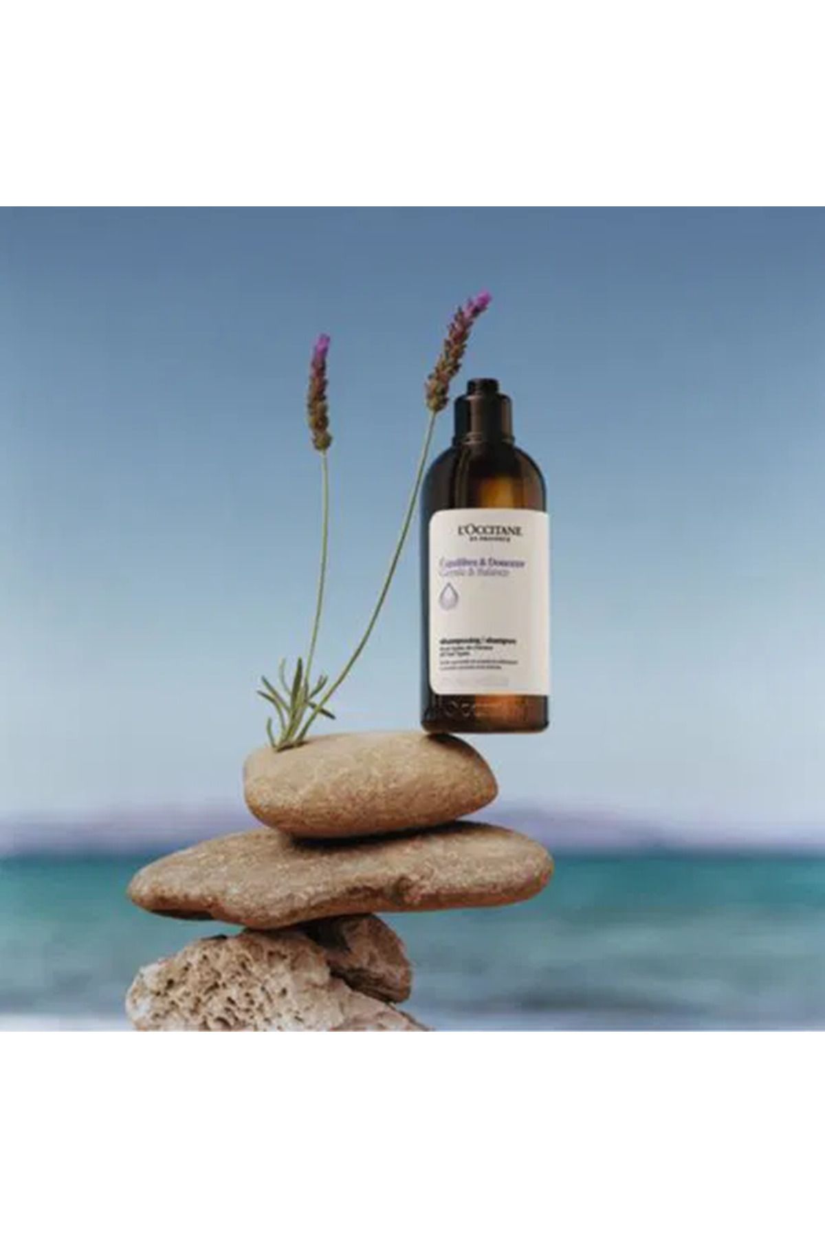 L'Occitane-Balancing Micellar Shampoo That Maintains the Natural Balance of the Scalp and Provides Shine - 500ml 3