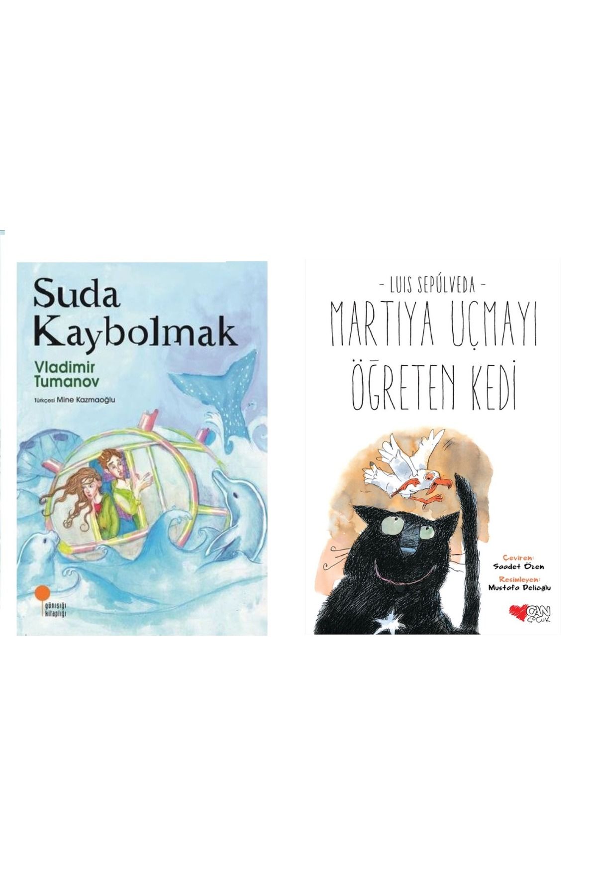Günışığı Kitaplığı Suda Kaybolmak & Martıya Uçmayı Öğreten Kedi ( 2 Li Set ) Günışığı Kitaplığı