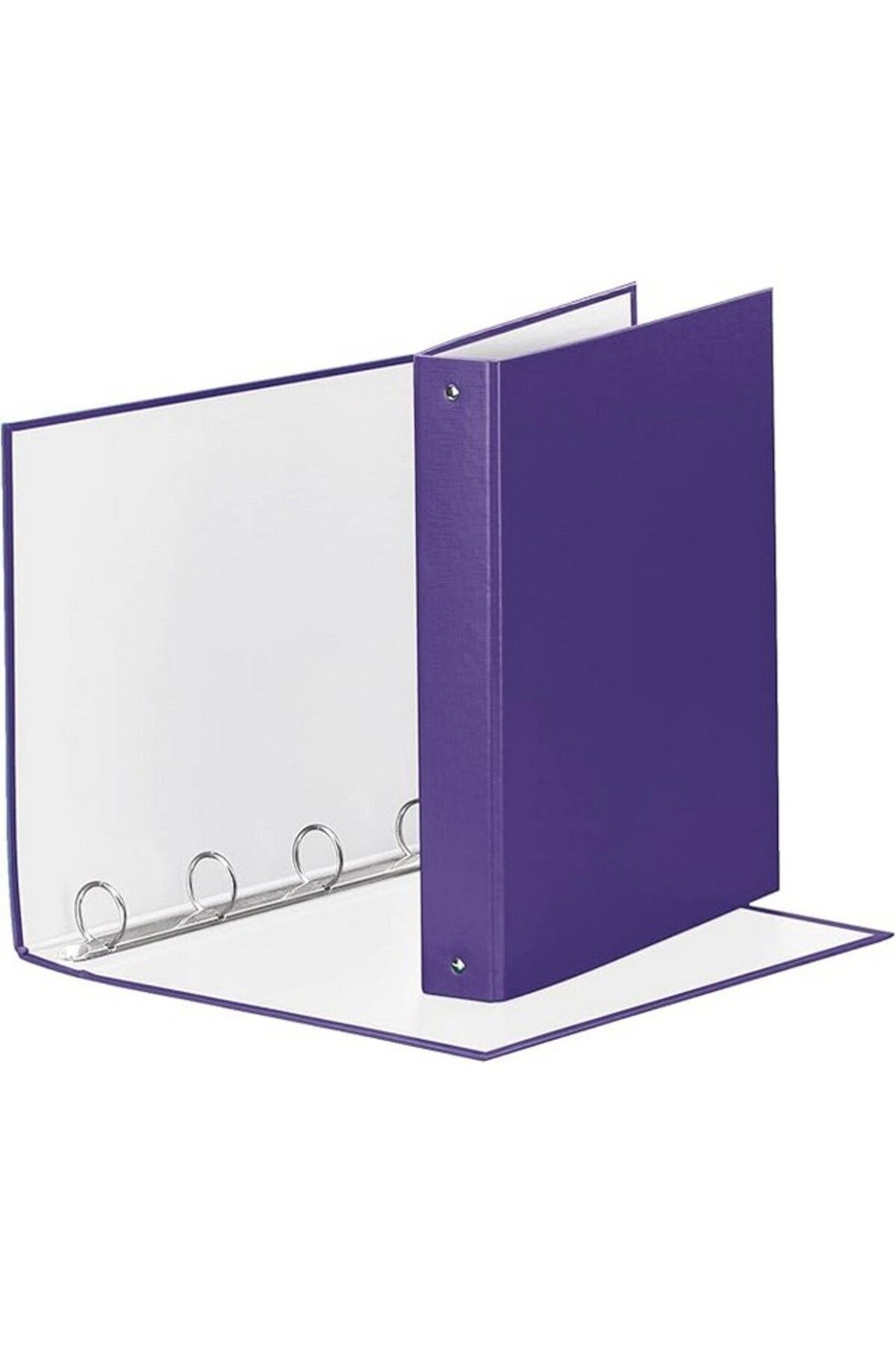 Esselte Caiet Mecanic Meeting, 4 Inele, Grosime 2 Mm, Diametru 30 Mm, Capacitate 200 Coli, Esselte - One Size