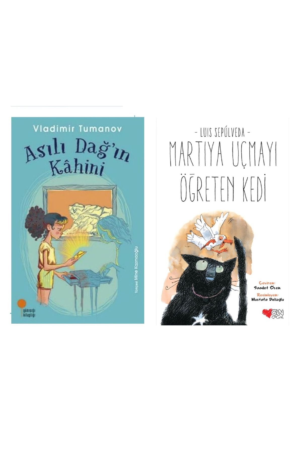 Günışığı Kitaplığı Asılı Dağın Kahini & Martıya Uçmayı Öğreten Kedi ( 2 Li Set )
