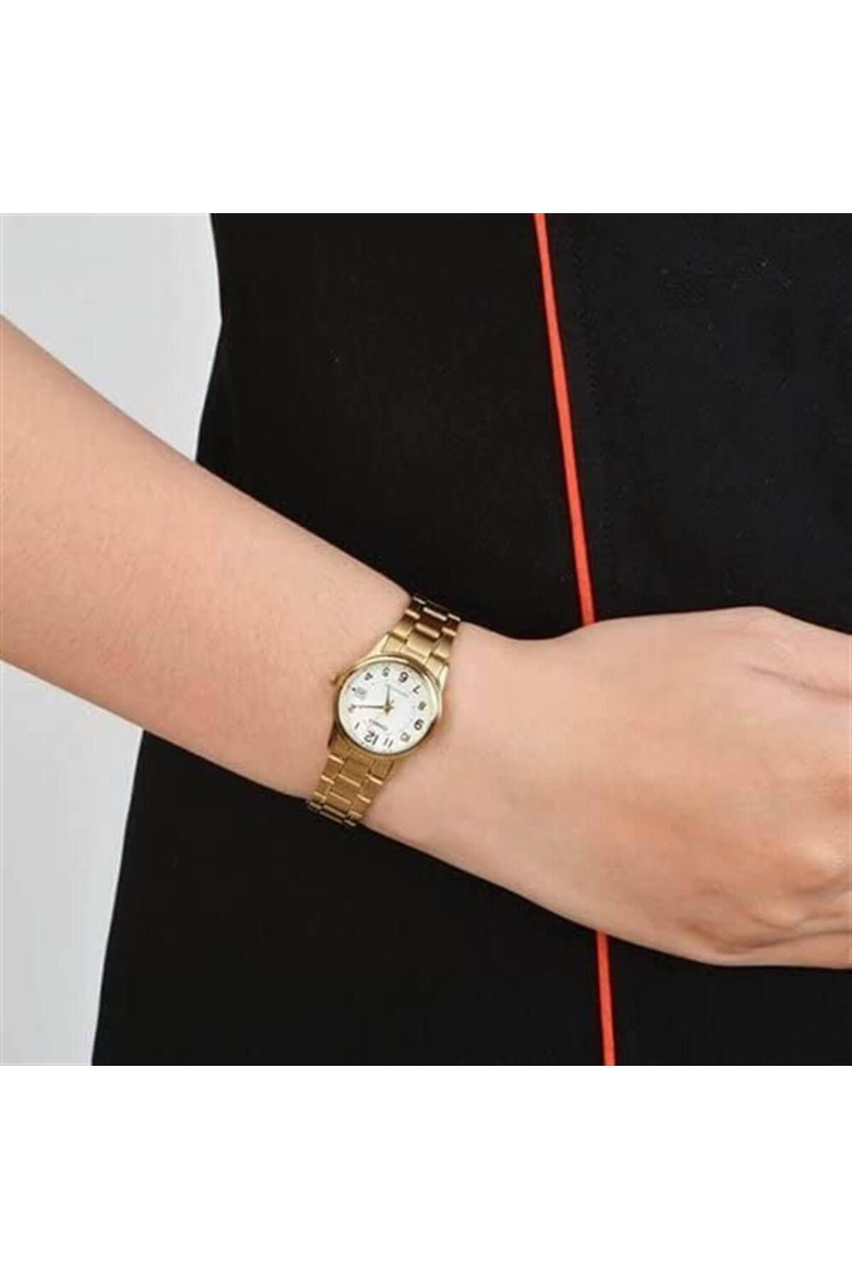 Casio-Ltp-v002g-7budf Wristwatch 3