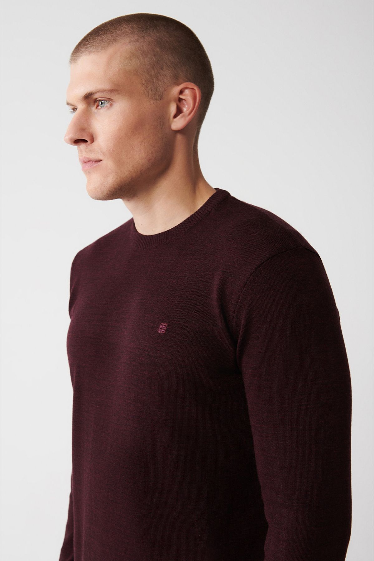 Avva-Men's Burgundy Crew Neck Non-Pilling Knitwear Sweater E 005000 2