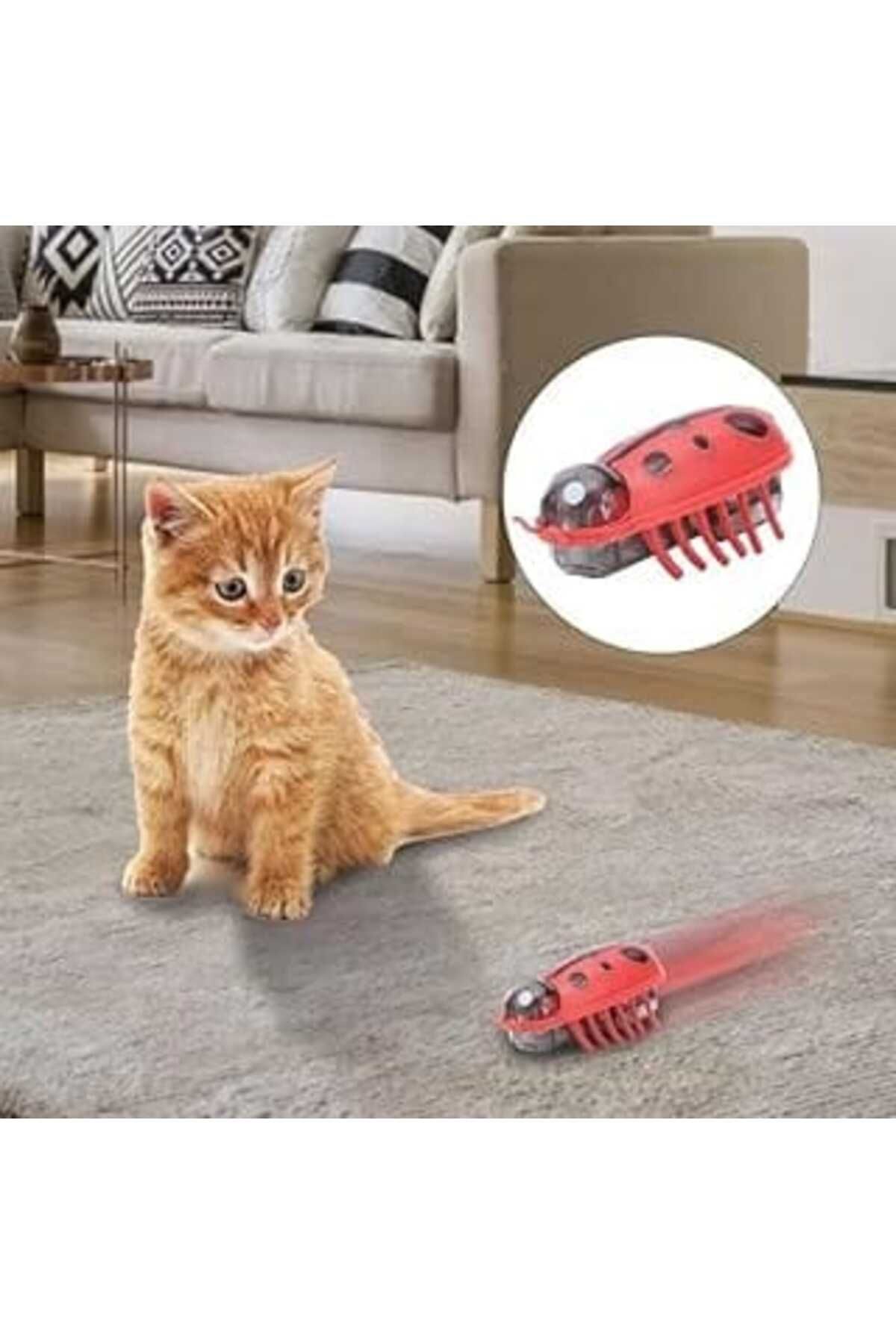 Mu Art Busstier Uğur Böceği Hareketli Kedi Oyuncağı, Otomatik Hareket Eden Uğur Böceği Şeklinde Kedi Oyunc