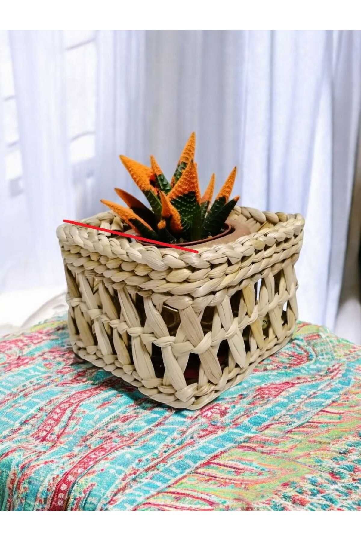 EM&MA DESİNG EM&MA Küçük Hasır Sukulent Dekor Çok Amaçlı Sepet ev mutfak banyo balkon bahçe kullanımı için ideal