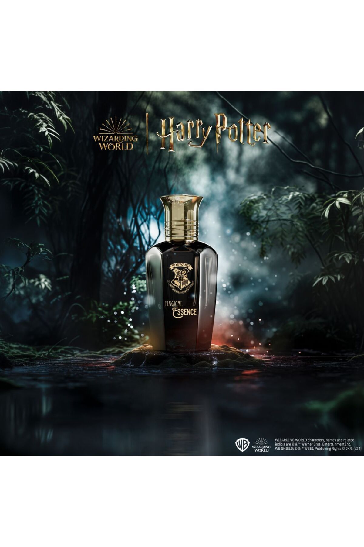 Harry Potter-Hogwarts Magical Essence Ambition Eau de Parfum for Men, Harry Potter Wizarding World, 50 ml 5