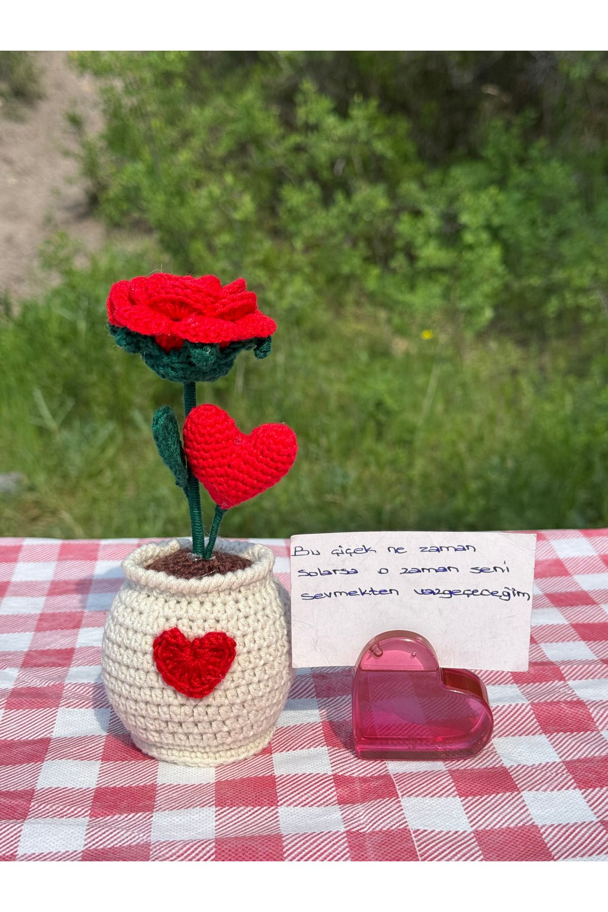 SUHE Örgü Saksıda El Yapımı Gül