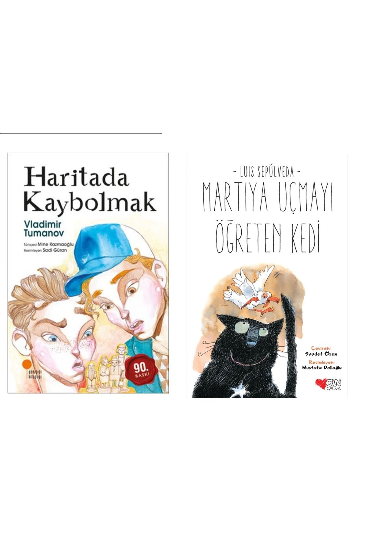 Günışığı Kitaplığı Haritada Kaybolmak & Martıya Uçmayı Öğreten Kedi ( 2 Li Set)