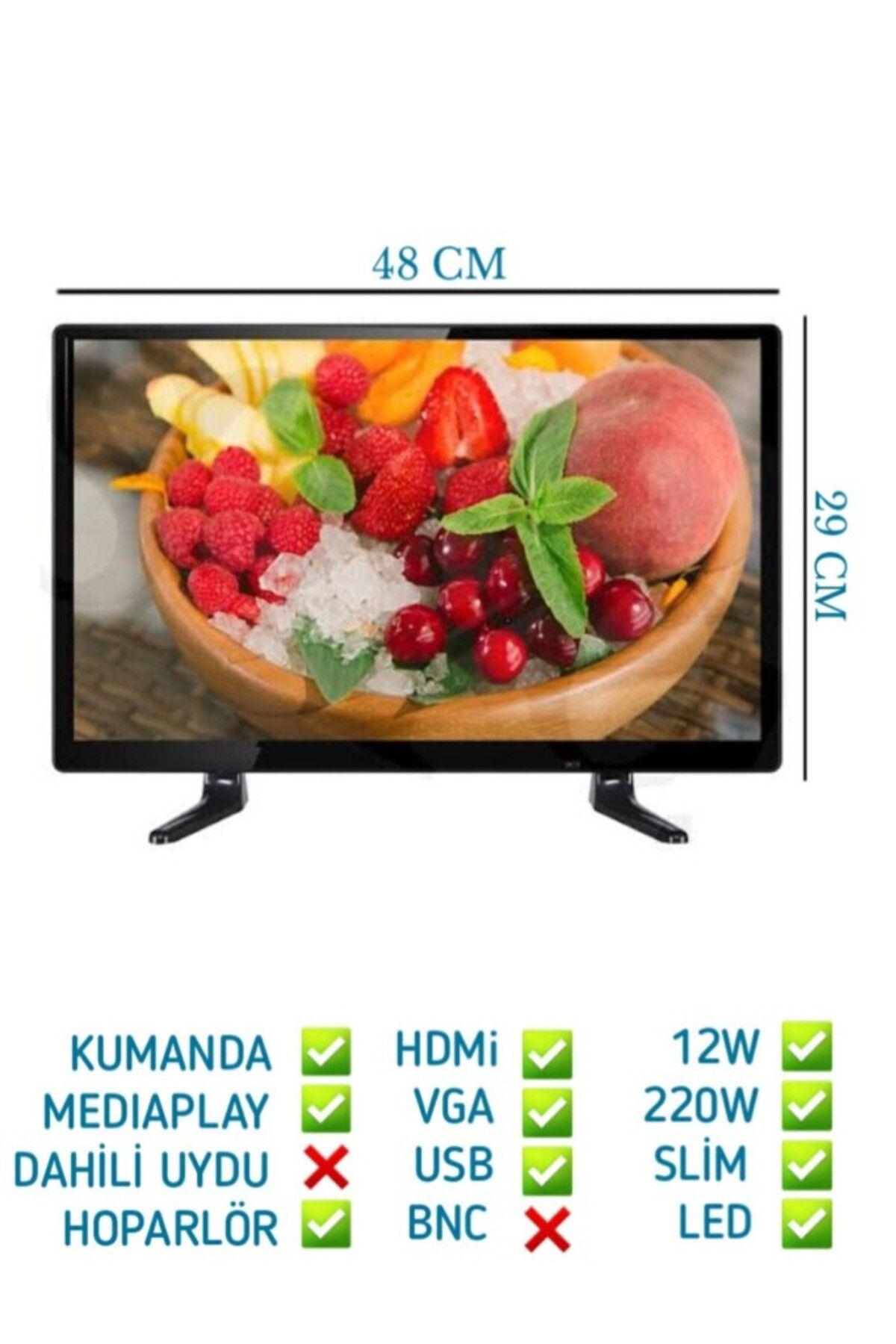 AUDİOMAX Audiomax mx-199 19" 49 Ekran 12V Full HD Karavan - Tekne - Yat Led Monitör TV