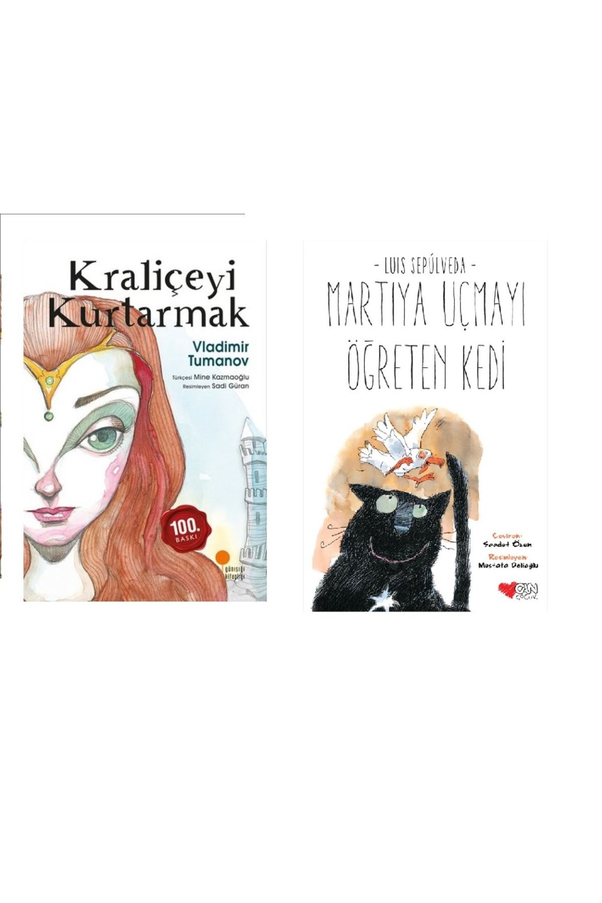 Günışığı Kitaplığı Kraliçeyi Kurtarmak & Martıya Uçmayı Öğreten Kedi ( 2 Li Set )