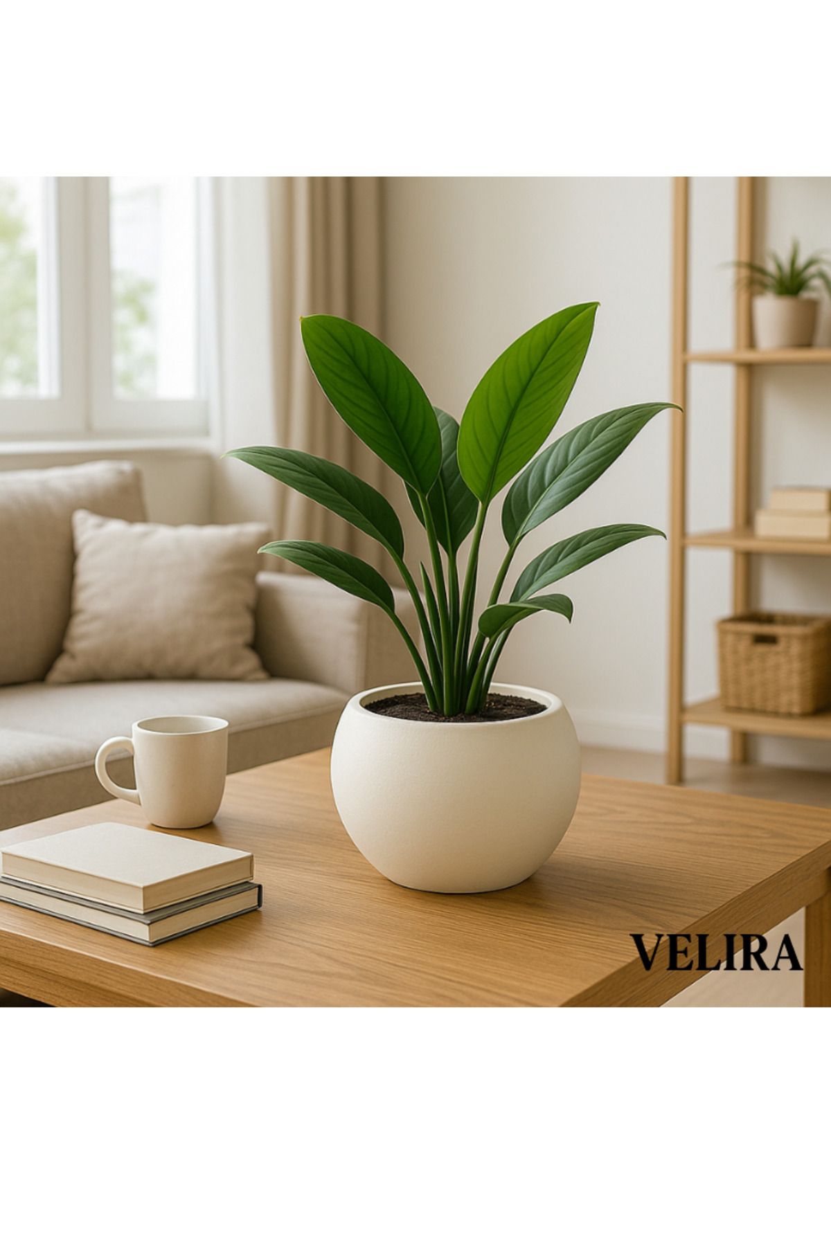 SERİNOVA Küre Saksı Yuvarlak Saksı Modern Dekoratif Plastik Saksı 7,5 Litre