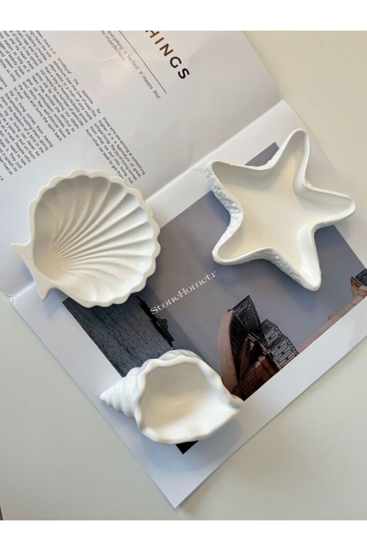 Home 3'lü Deniz Kabuğu, Denizyıldızı, İstiridye Biblo Set