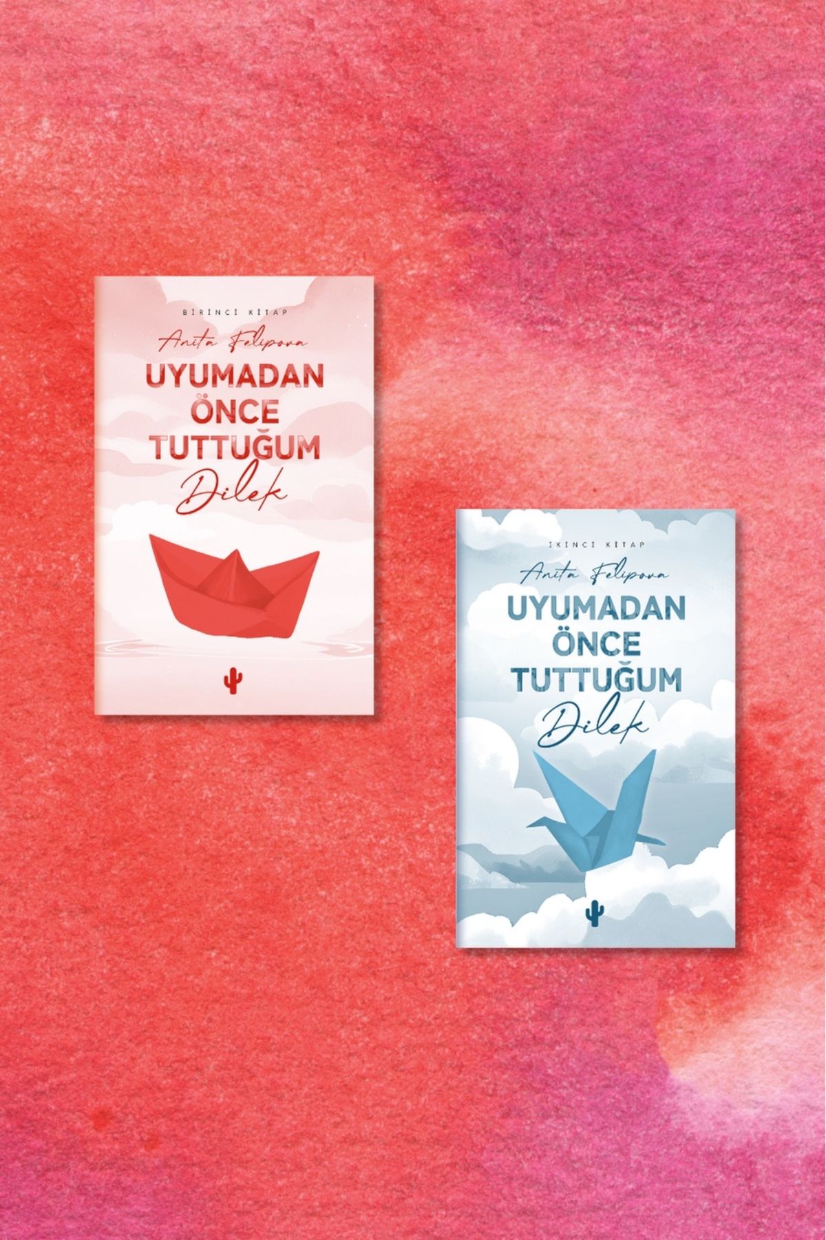Kaktüs Sanat Uyumadan Önce Tuttuğum Dilek 1 - 2 (Anita Felipova)