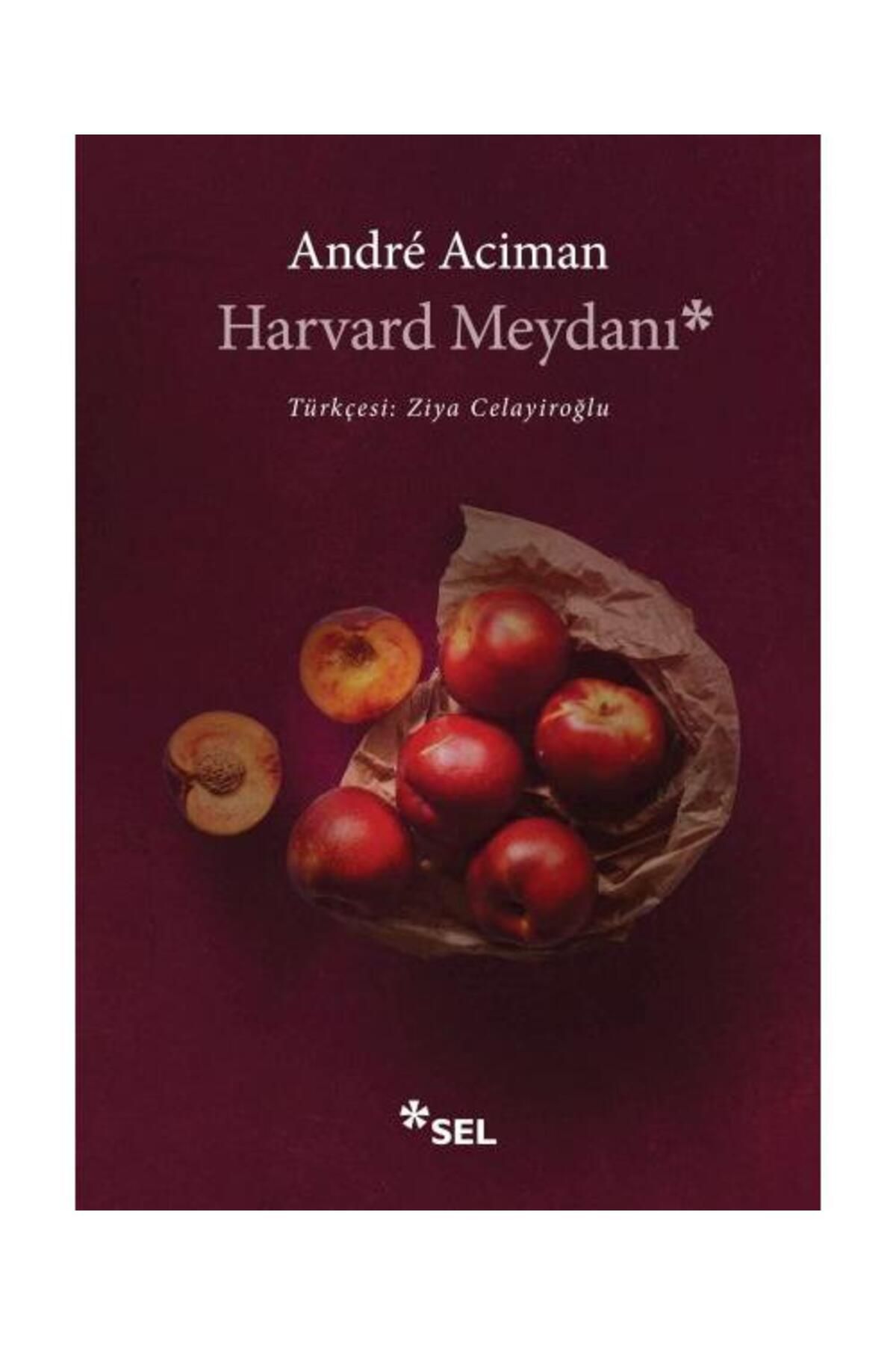 Sel Yayınları Harvard Meydanı / Sel Yayınları / Andre Aciman