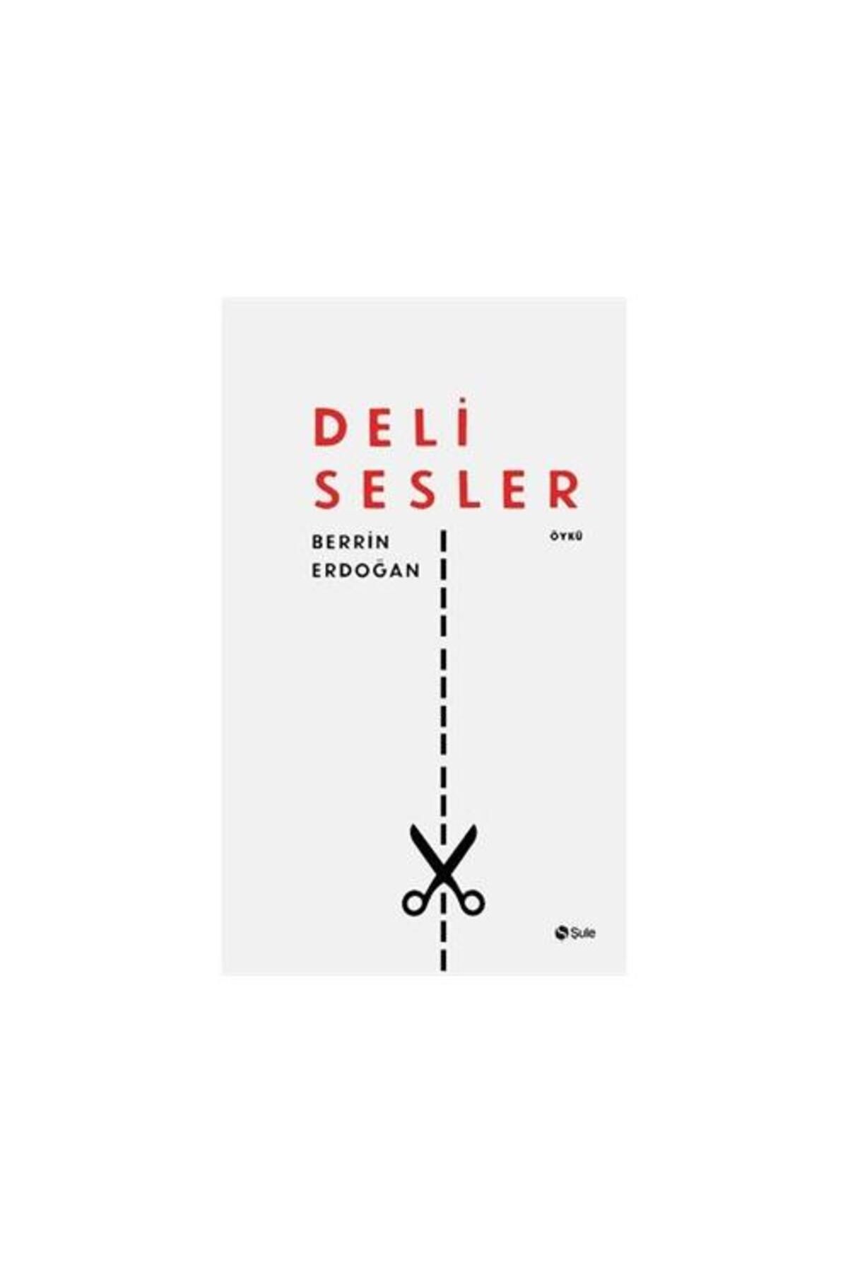 Şule Yayınları Deli Sesler / Şule Yayınları / Berrin Erdoğan