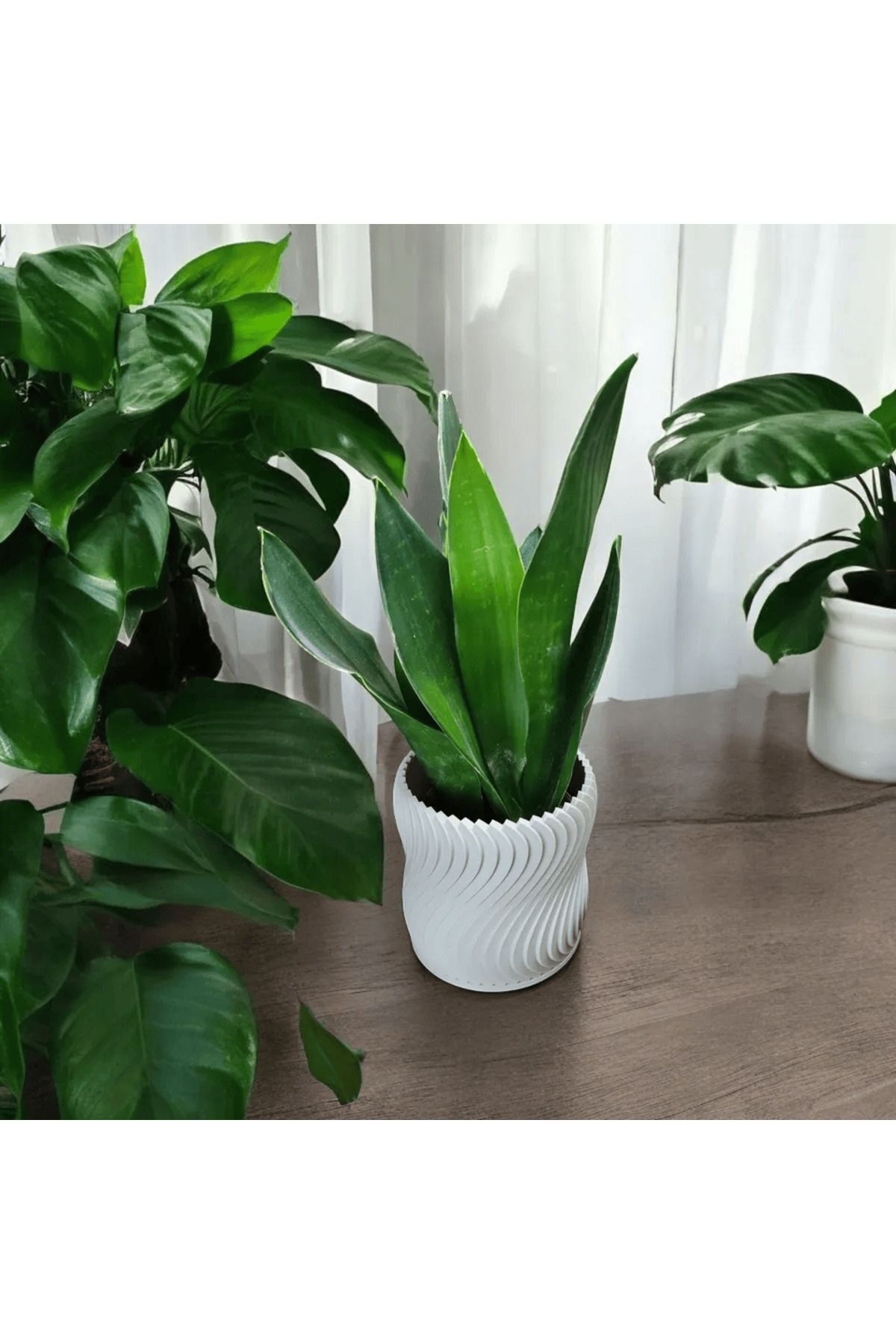 GearStudio Modern Dalga desenli Vazo Saksı