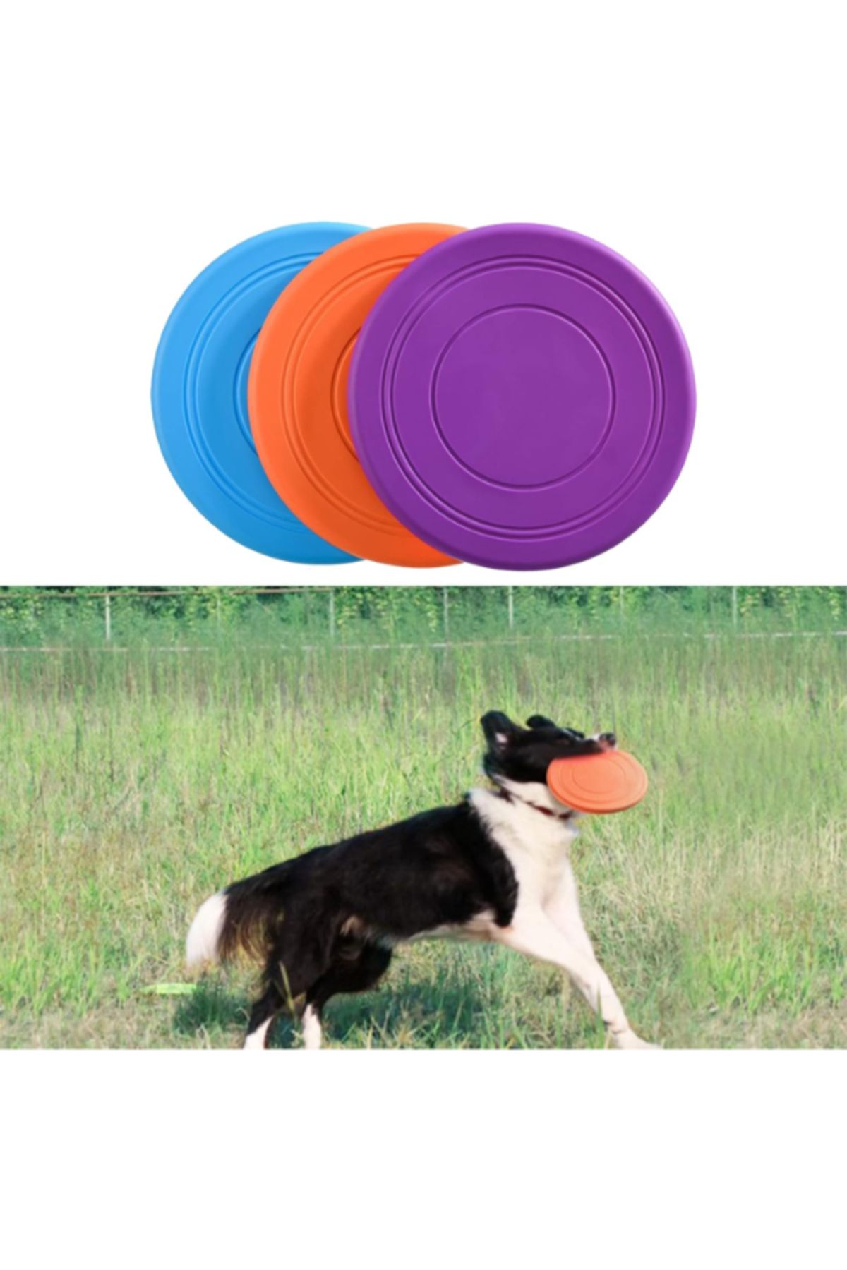 PEGY Silikon Frizbi Köpek Oyuncağı