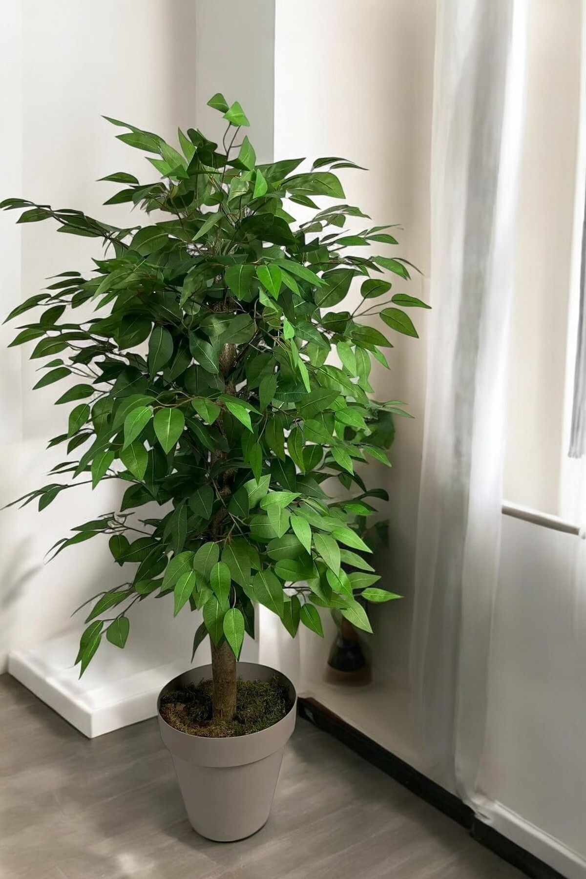 Altun Çiçekcilik Yapay Yeşil BenjamnAğacı 125cm