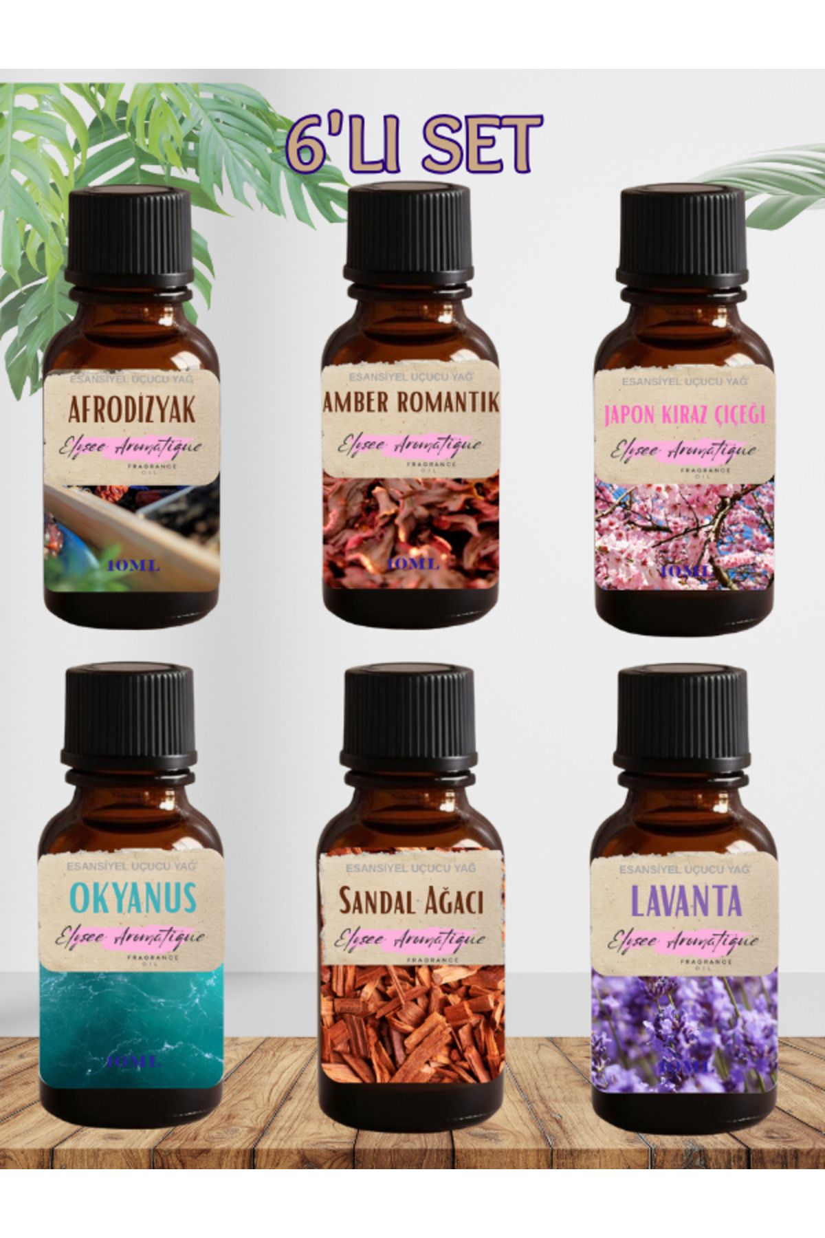 Elysee Aromatique 6'lı Set Esansiyel Uçucu Koku Yağı Difüzör Esansı Buhurdanlık Yağı Aromaterapi Yağı