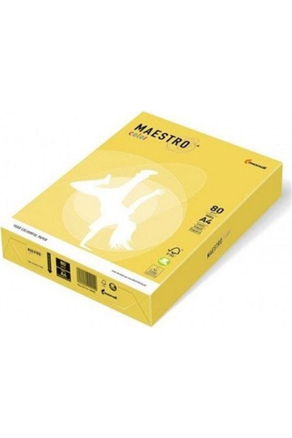 Maestro RENKLİ FOTOKOPİ KAĞIDI A4 SOMON 80 GR 500 LÜ PAKET