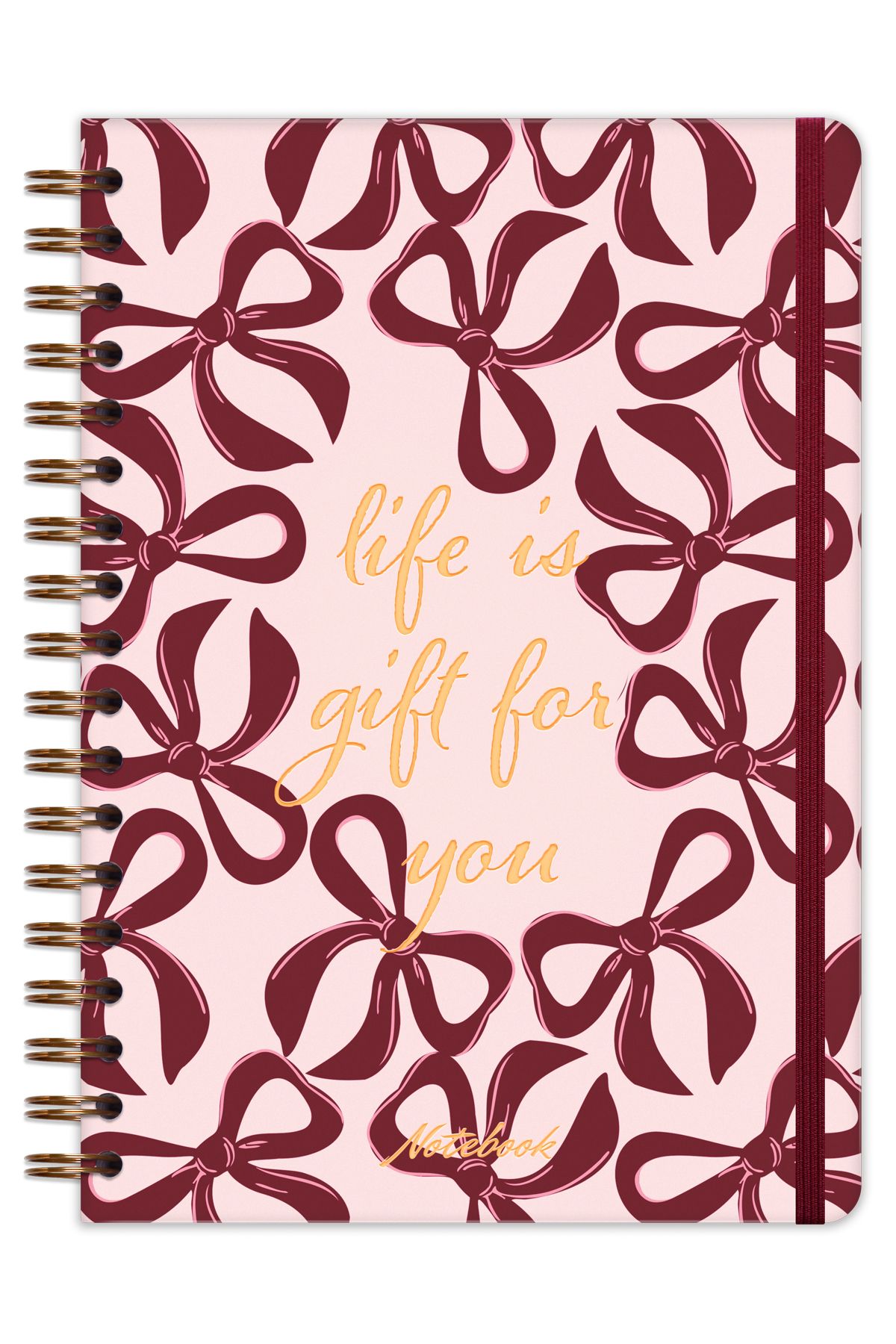 Matt Notebook-B5 17X24 cm Spiral Elastic Plain Without Line Undated Notepad Bows 5