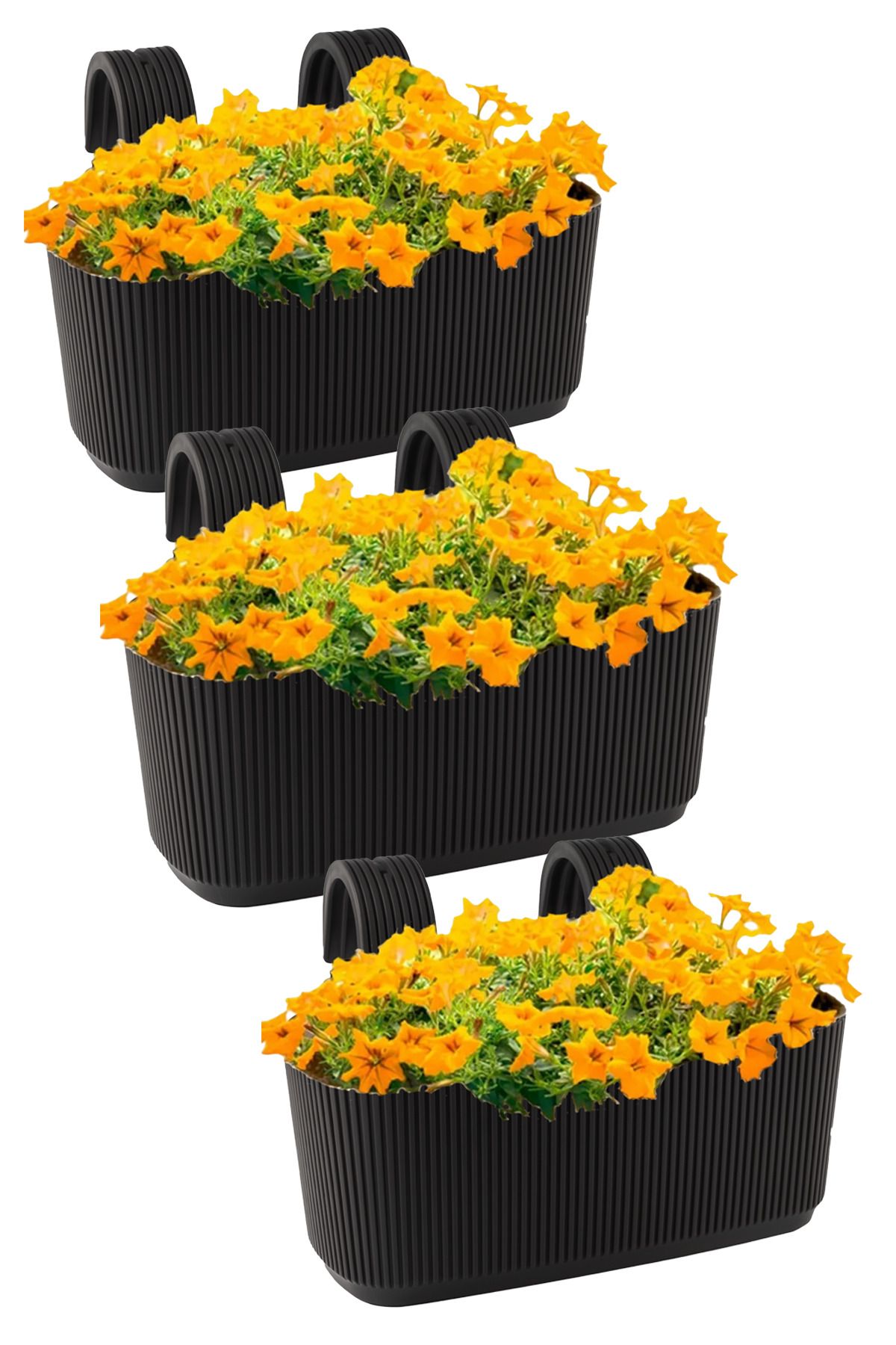 TEMMUZ HOME 3.2 Litre 3 Adet Askılı Balkon Saksısı