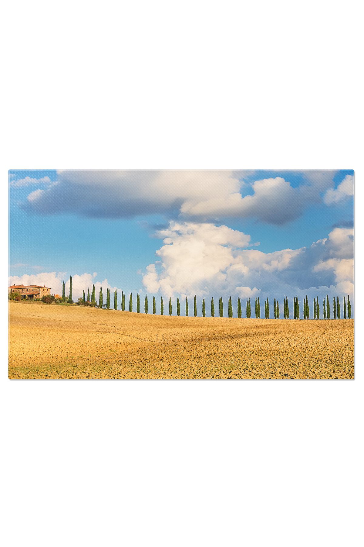 StoryGift Romania Tablou Canvas Peisaj Tipic Italian Cu Ferma, Chiparos Si Grau, Ferma, Italia, Peisaj, Toscana, - 40 x 25