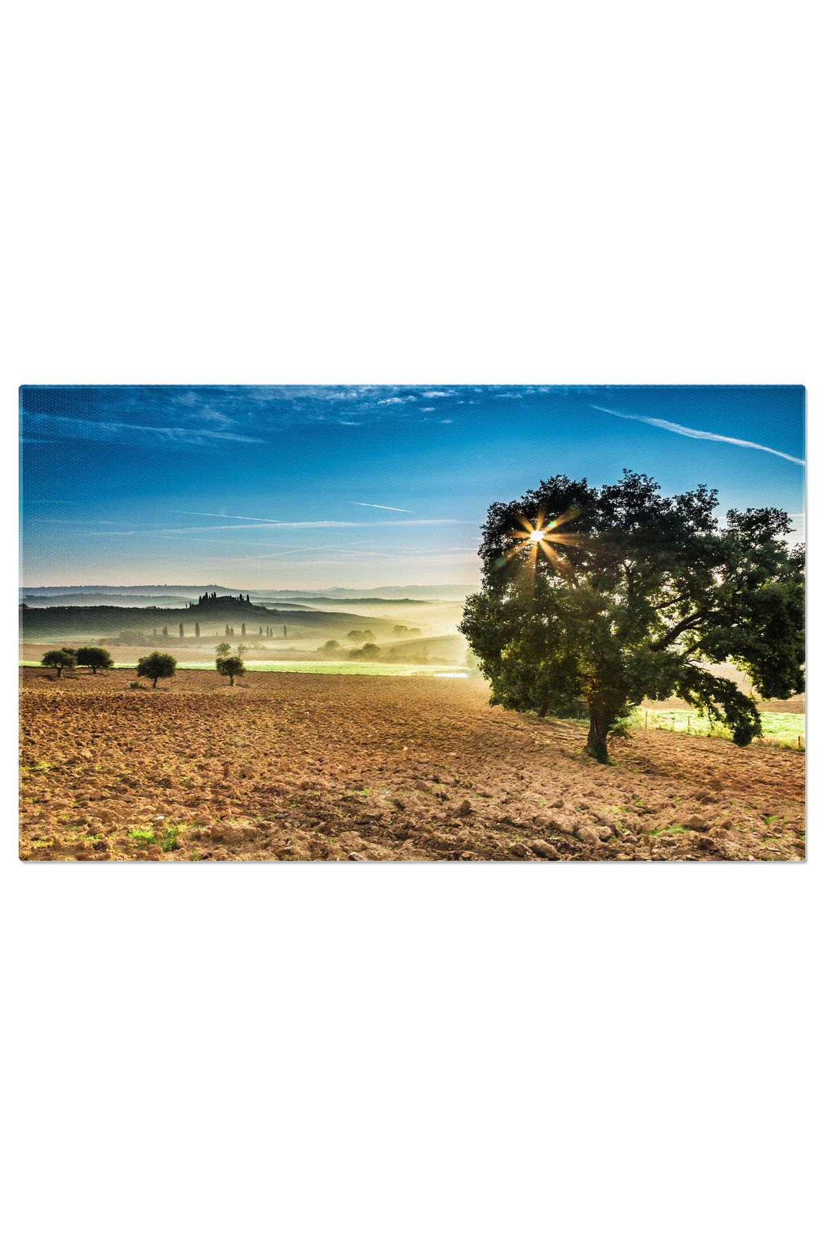 StoryGift Romania Tablou Canvas: Armonia Naturii - Drum Rural, Chiparos Italian, Rasarit, Cultura Europeana, Casa - 40 x 25