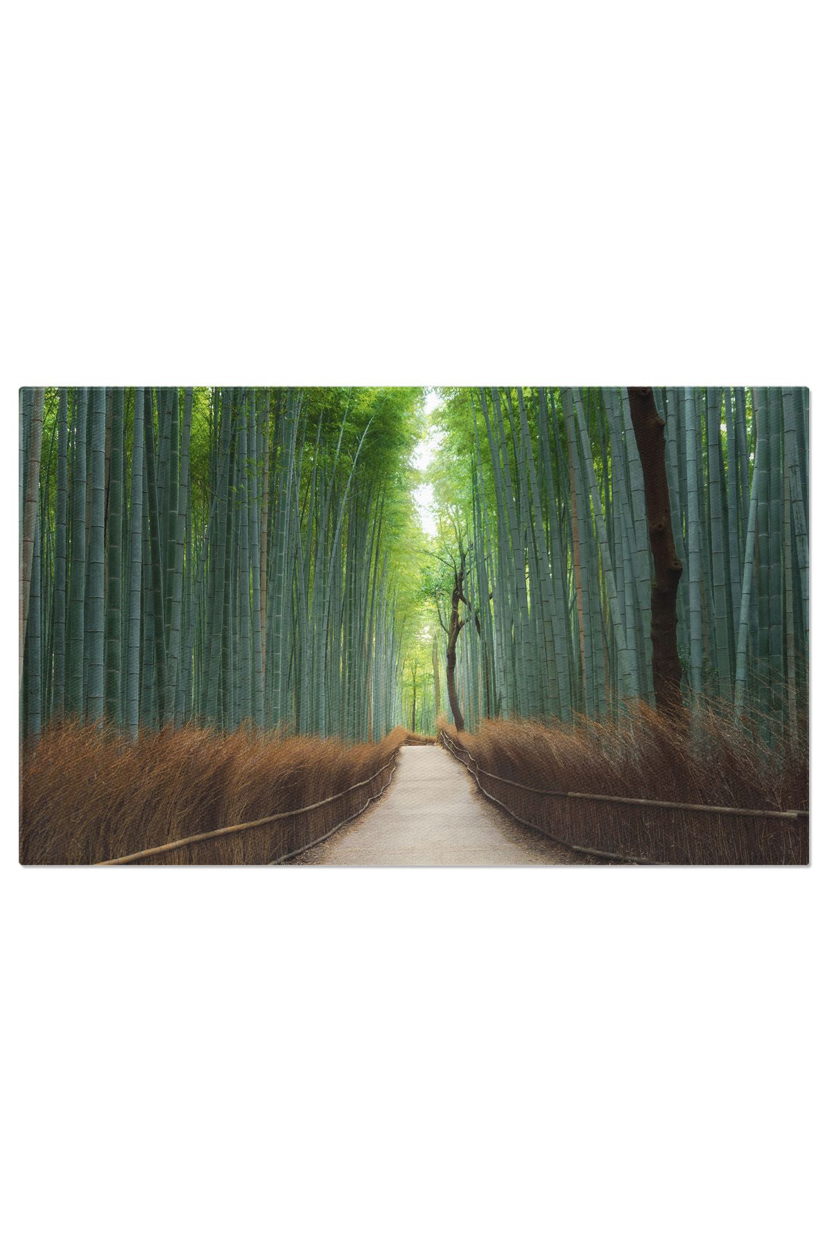 StoryGift Romania Tablou Canvas Padure De Bambus Japonez La Arashiyama I, Japonia, Bambus, Calatorie, Arashiyama - 40 x 25