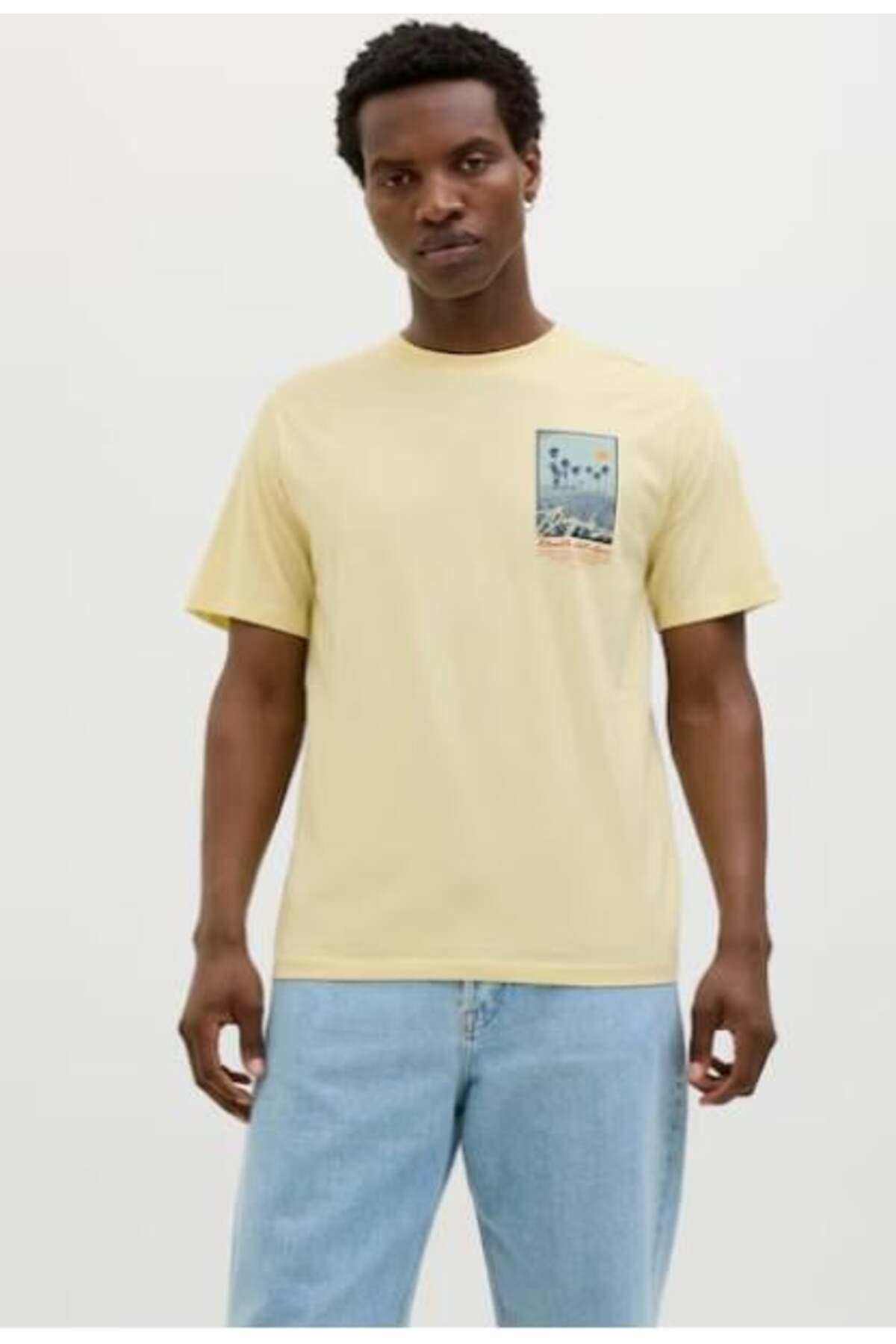 Jack & Jones JACK&JONES Erkek JORALMERIA PALMS TEE SS CREW NECK 12281807