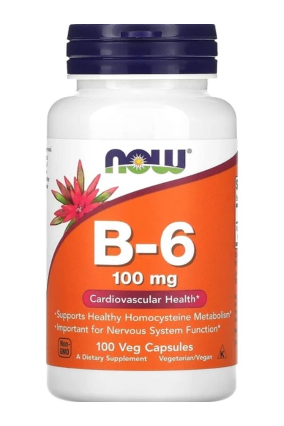 Now FOODS B6 100 MG 100 KAPSÜL